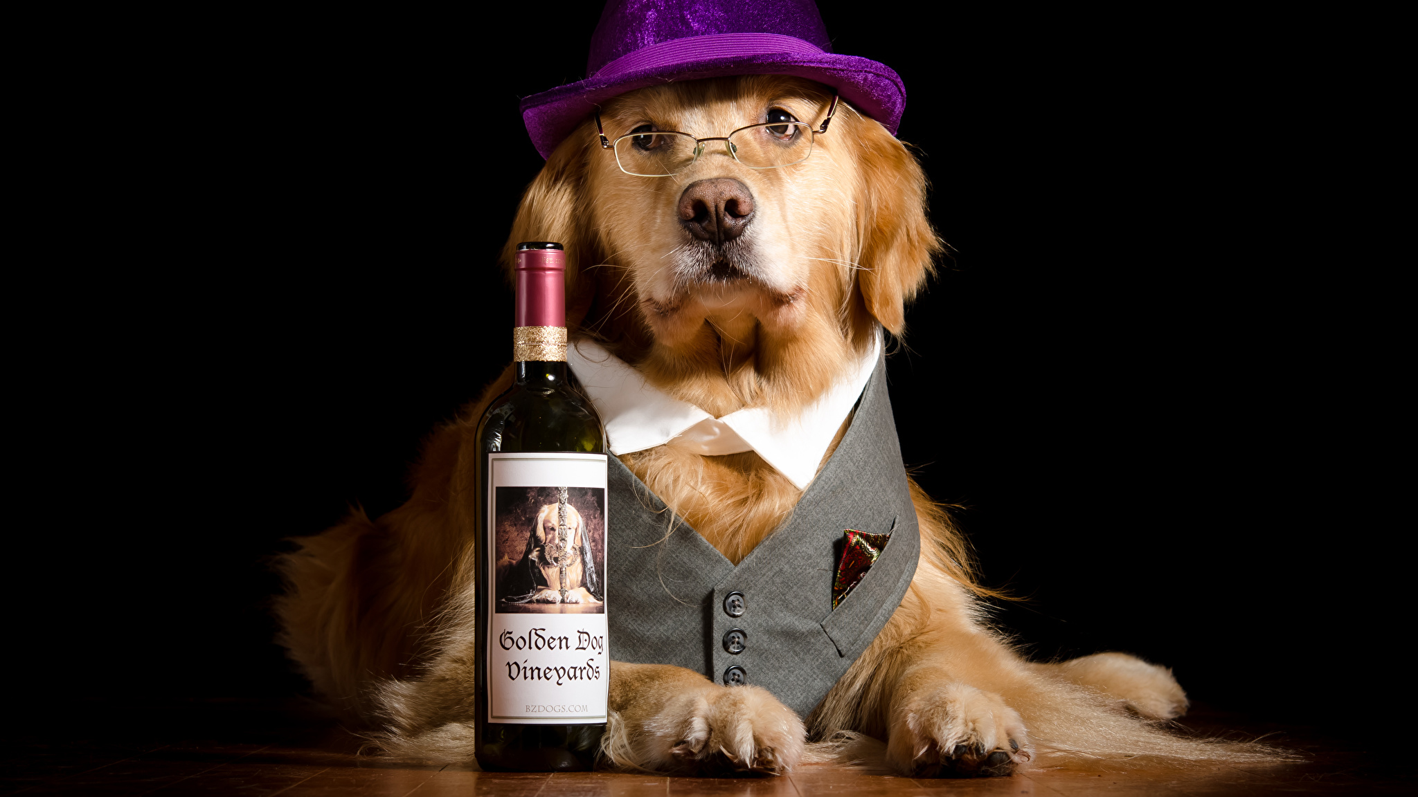 Собака с вином