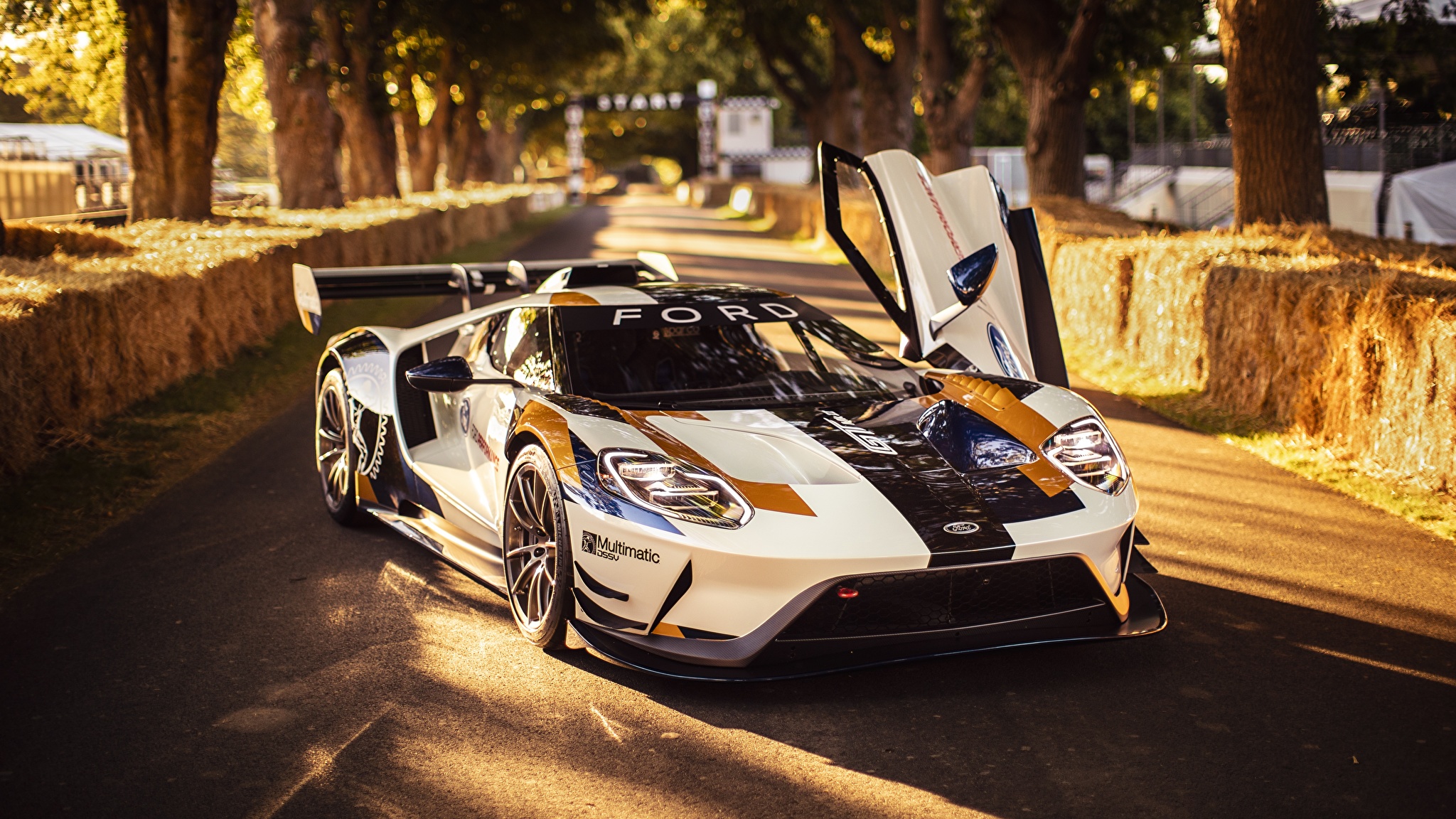 Ford gt Tuning