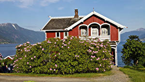 Картинки Норвегия Здания Особняк Кусты Balestrand