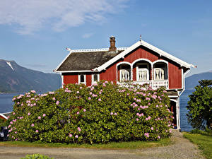 Картинки Норвегия Здания Особняк Кусты Balestrand