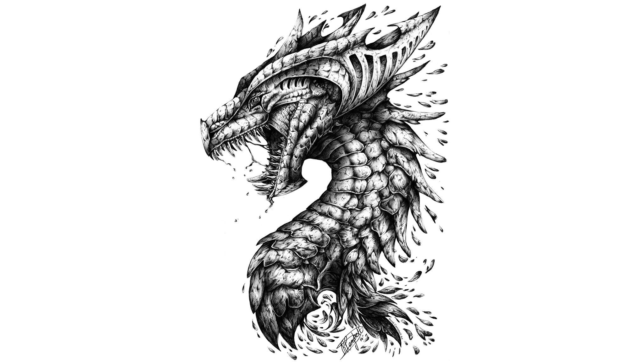 татуировка дракона эскиз