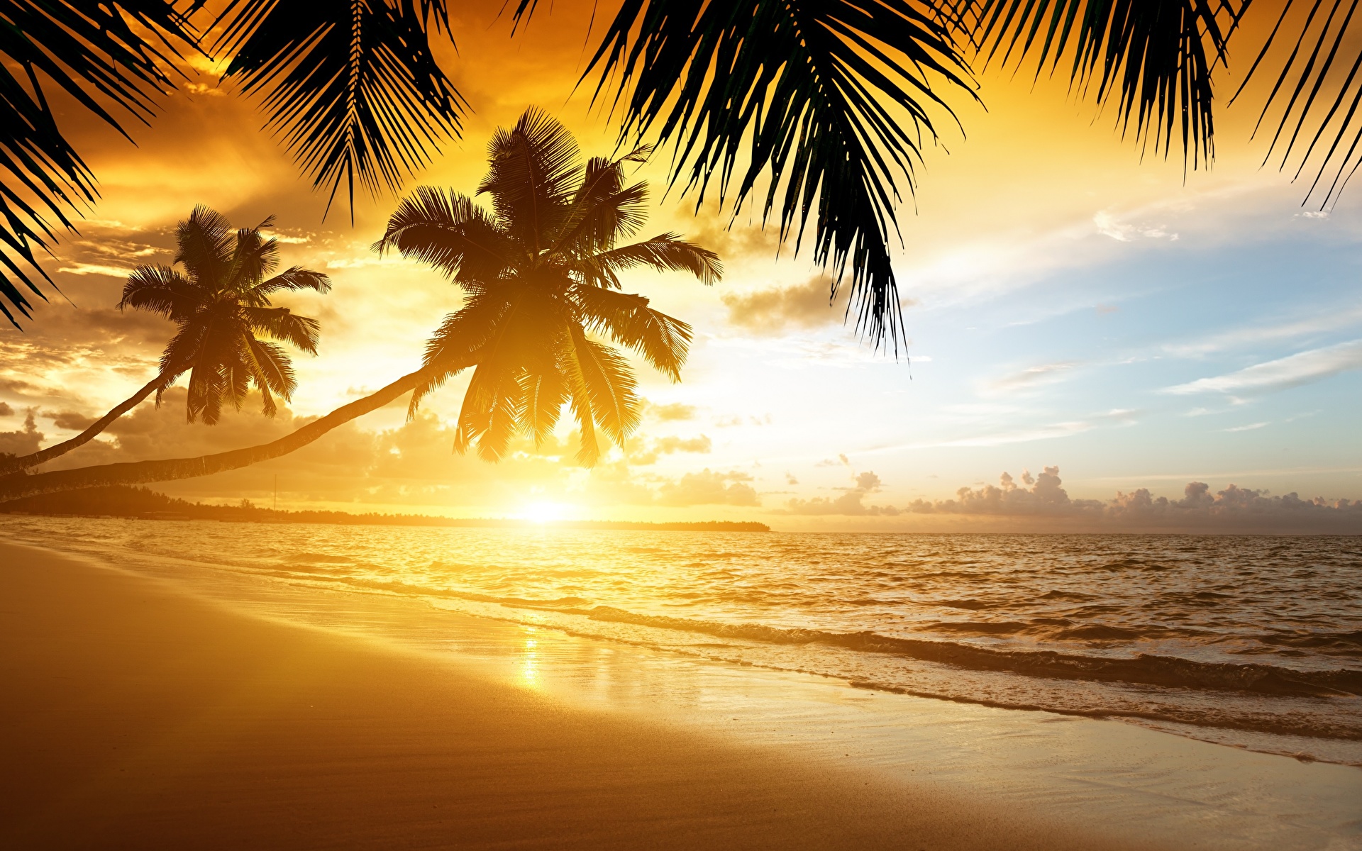 Пляж Природа фото 1920x1200 рассвет и закат, тропический, берег, пальма, па...