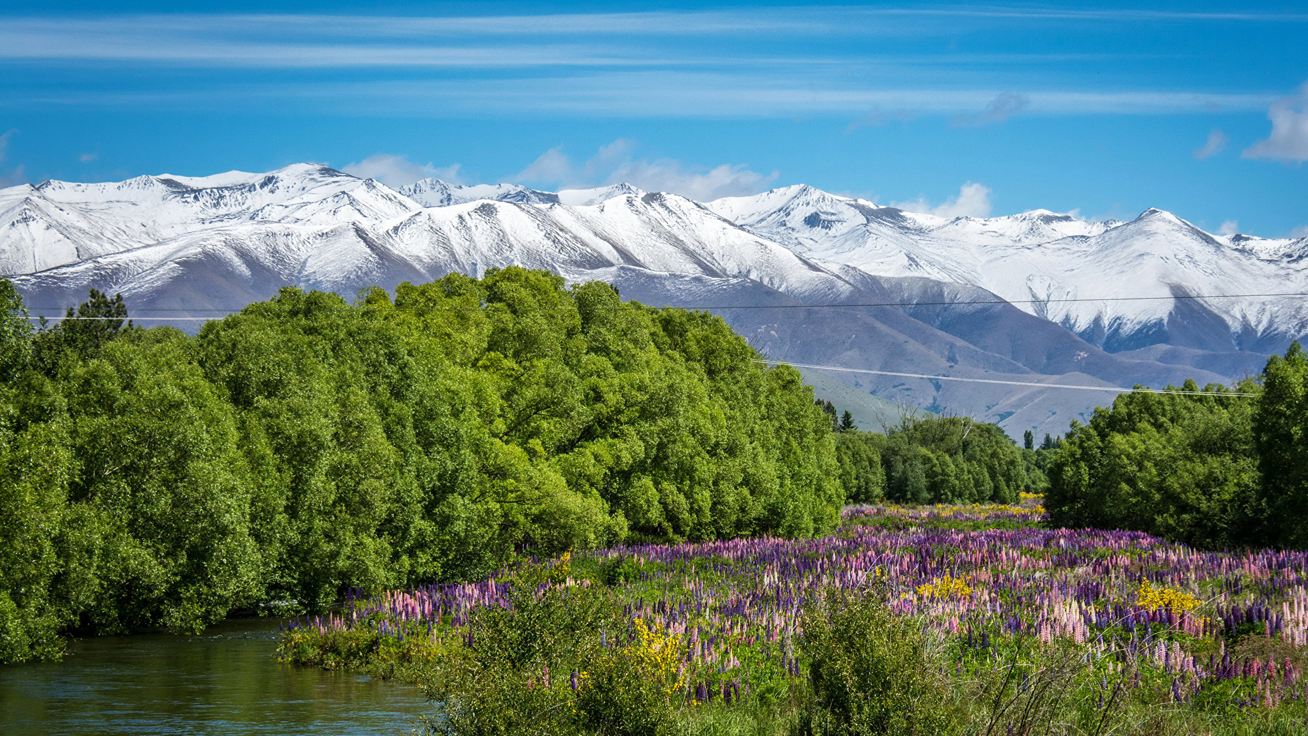 Река трава природа небо Новая Зеландия загрузить