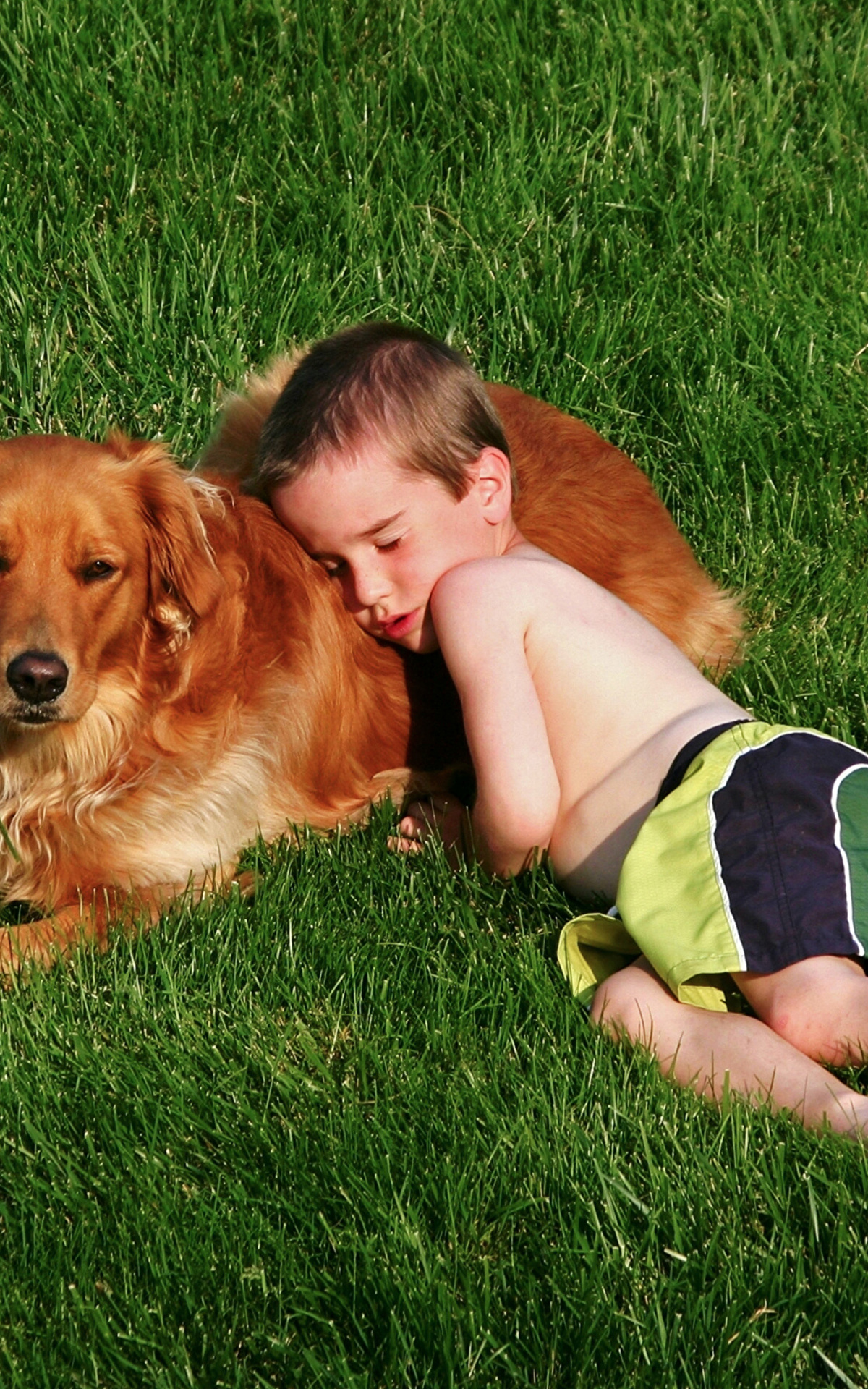 Мальчик с собакой описание. Мальчик с собакой. Рыжий мальчик с собакой. Ретривер и дети. Пацан с собакой на травке.