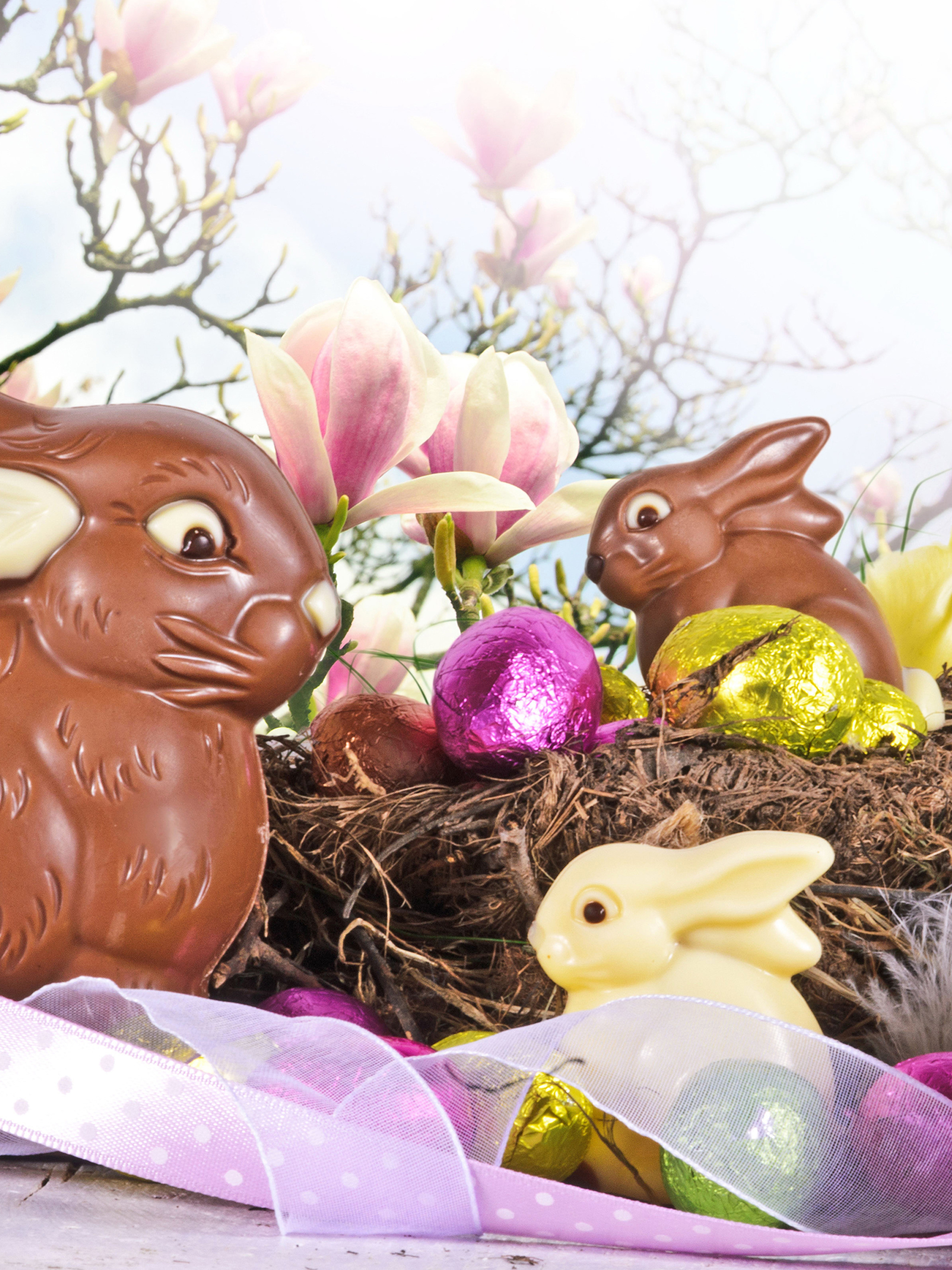 Пасхальный шоколад. Шоколадный Пасхальный кролик. Шоколадный заяц на Пасху. Шоколадные пасхальные яйца.