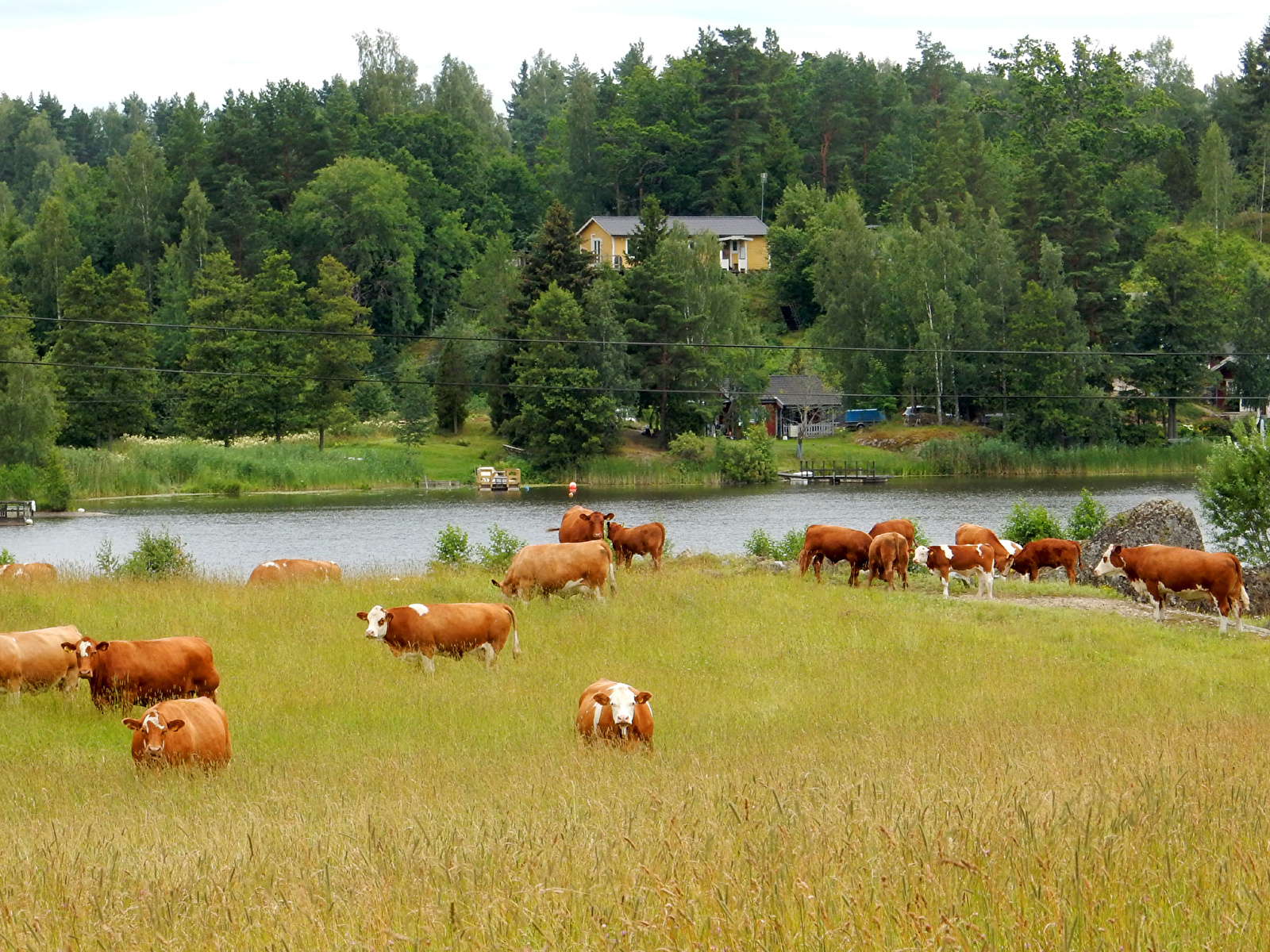 норвегия сельское хозяйство