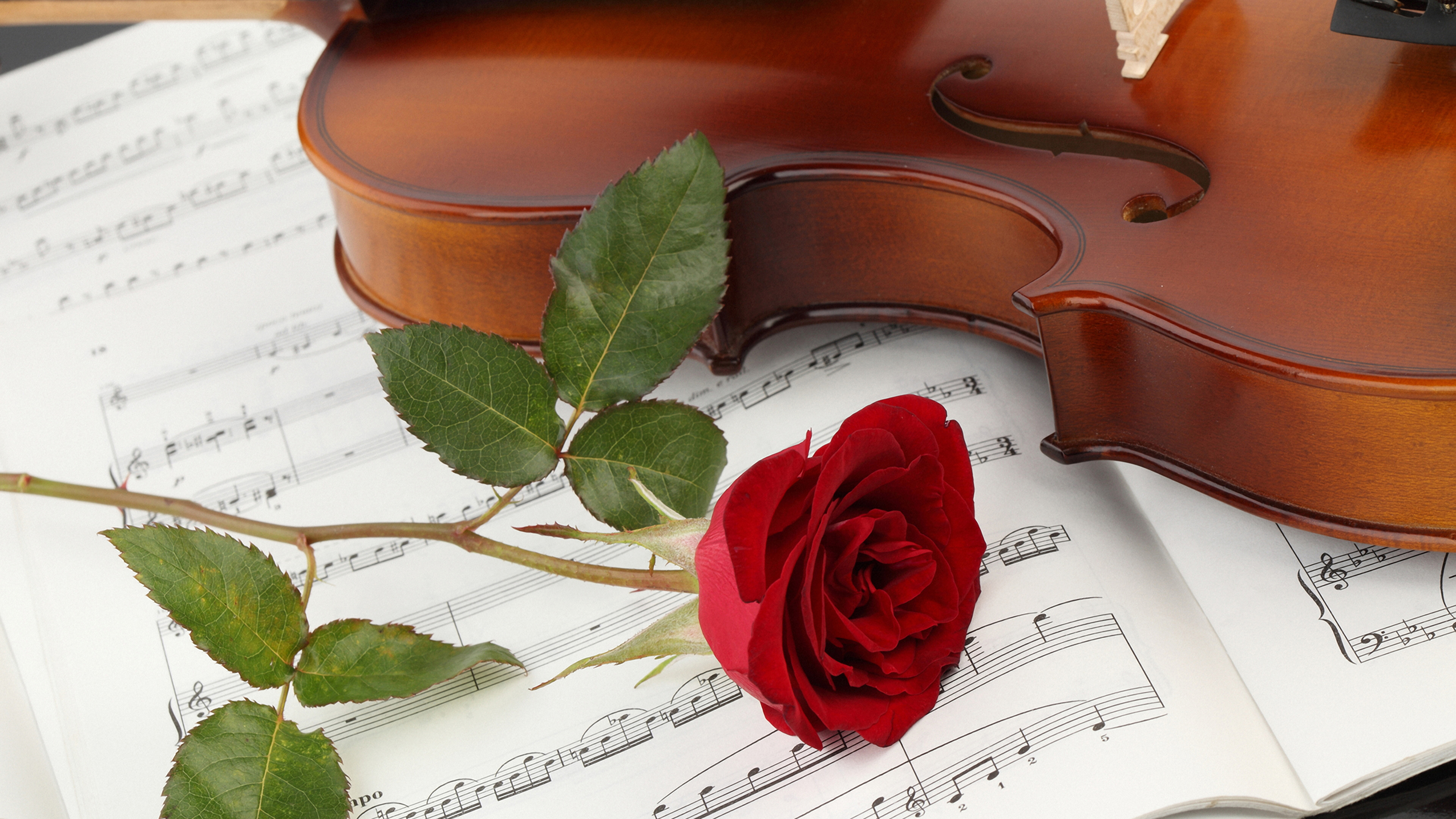 Violin_Notes_Roses_Red_552698_3840x2160.jpg