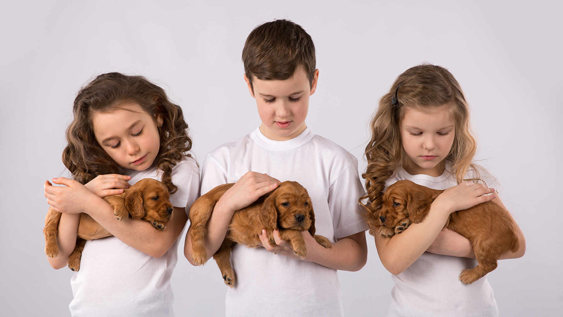 Фотографии щенка Девочки Собаки мальчишка Дети Трое 3 Цветной фон 1920x1080 щенки Щенок щенков девочка собака мальчик Мальчики мальчишки ребёнок три втроем