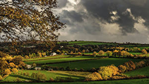 Картинка Англия Поля Осенние Деревья Luckett Cornwall Природа