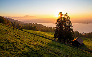 Картинки Швейцария Пейзаж Рассветы и закаты Дома Луга Ель Zugerberg Природа