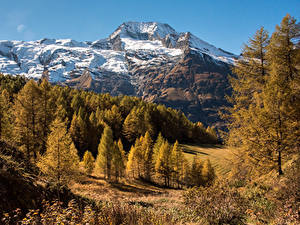 Картинка Франция Горы Осенние Снегу Дерево Le Monal