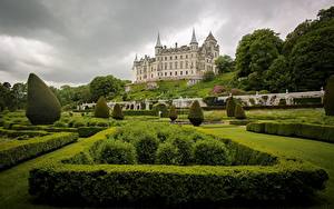 Фотографии Замок Шотландия Кусты Дизайн Sutherland Dunrobin Castle город