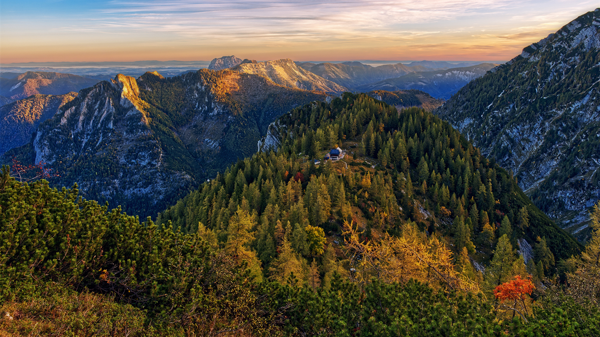 Австрия Альпы лес