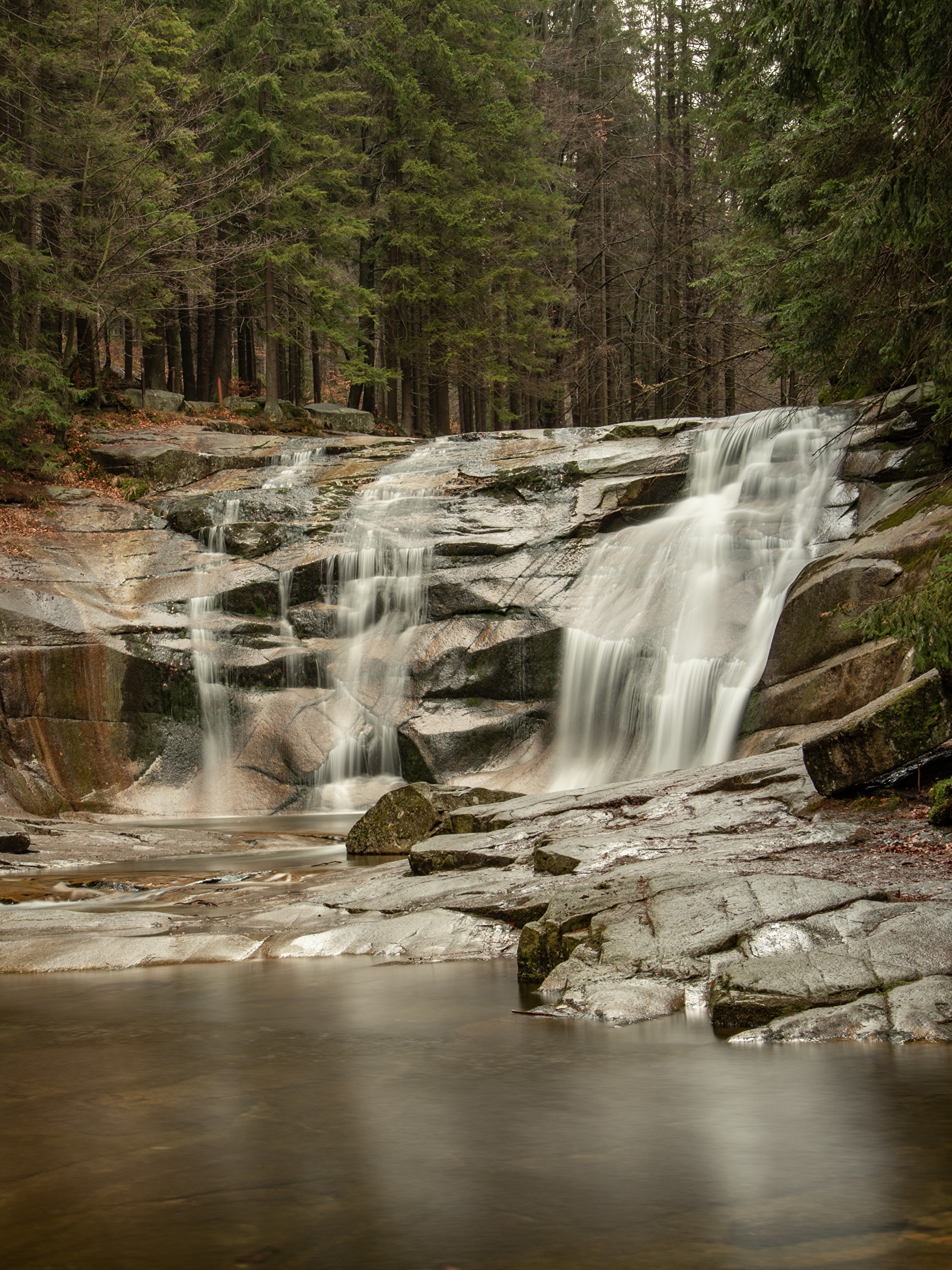 Водопад в лесу камни