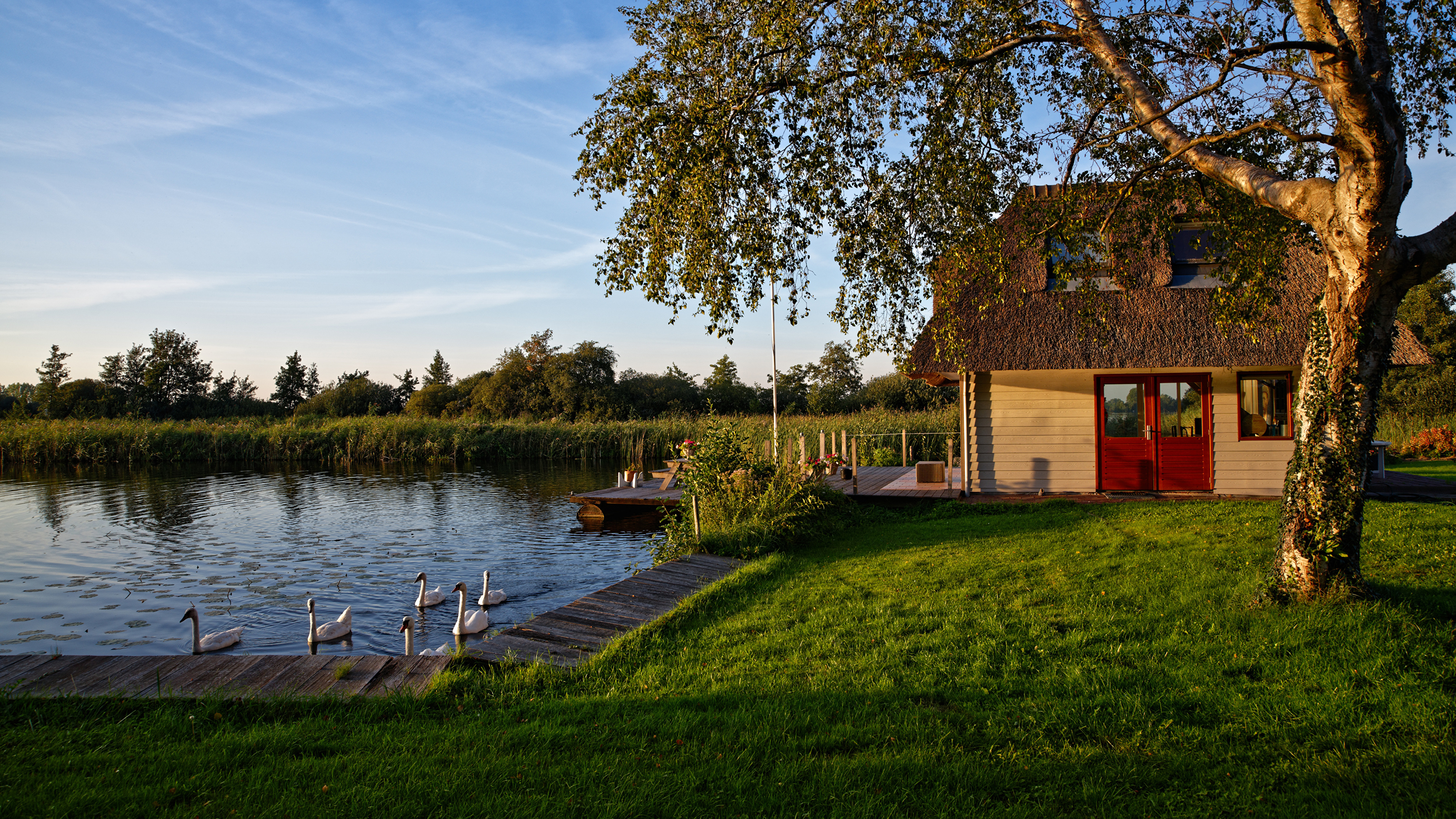 Netherlands_Houses_Pond_Ducks_Utrecht_Tr