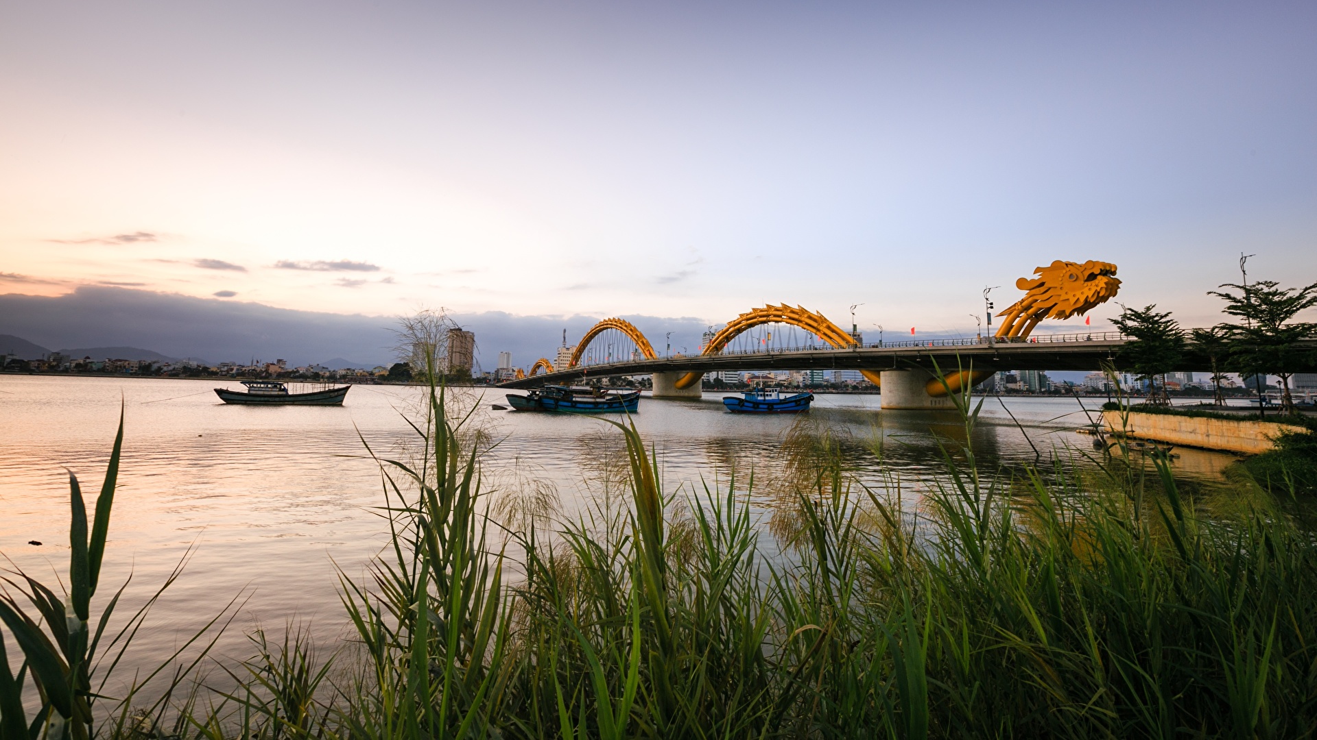 Картинка Драконы Вьетнам Dragon Bridge, Danang Мосты Речные суда Реки траве город 1920x1080 дракон мост река речка Трава Города