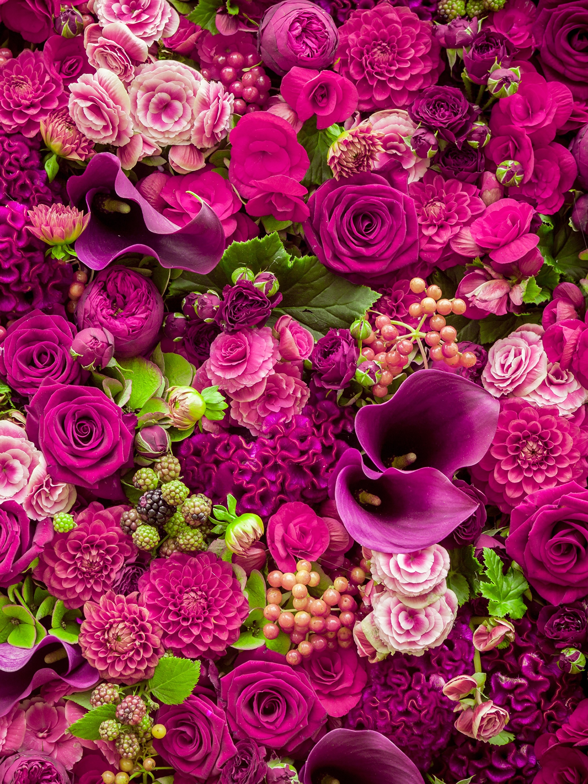 Красивые картинки с цветами для телефона. Красивые цветы. Красивый букет цветов. Роскошные цветы. Красивые цветочки.