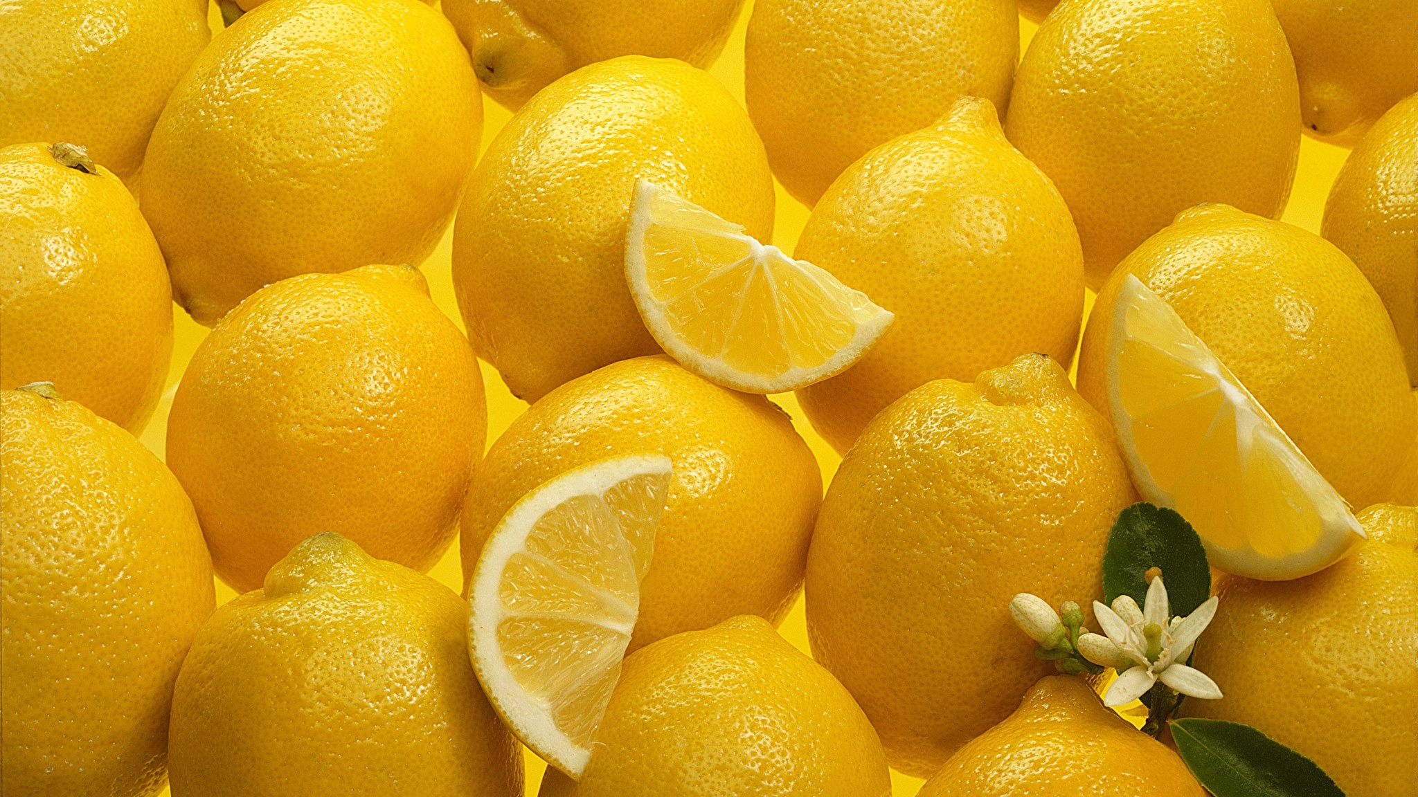 Lemon Citrus Limon Италия