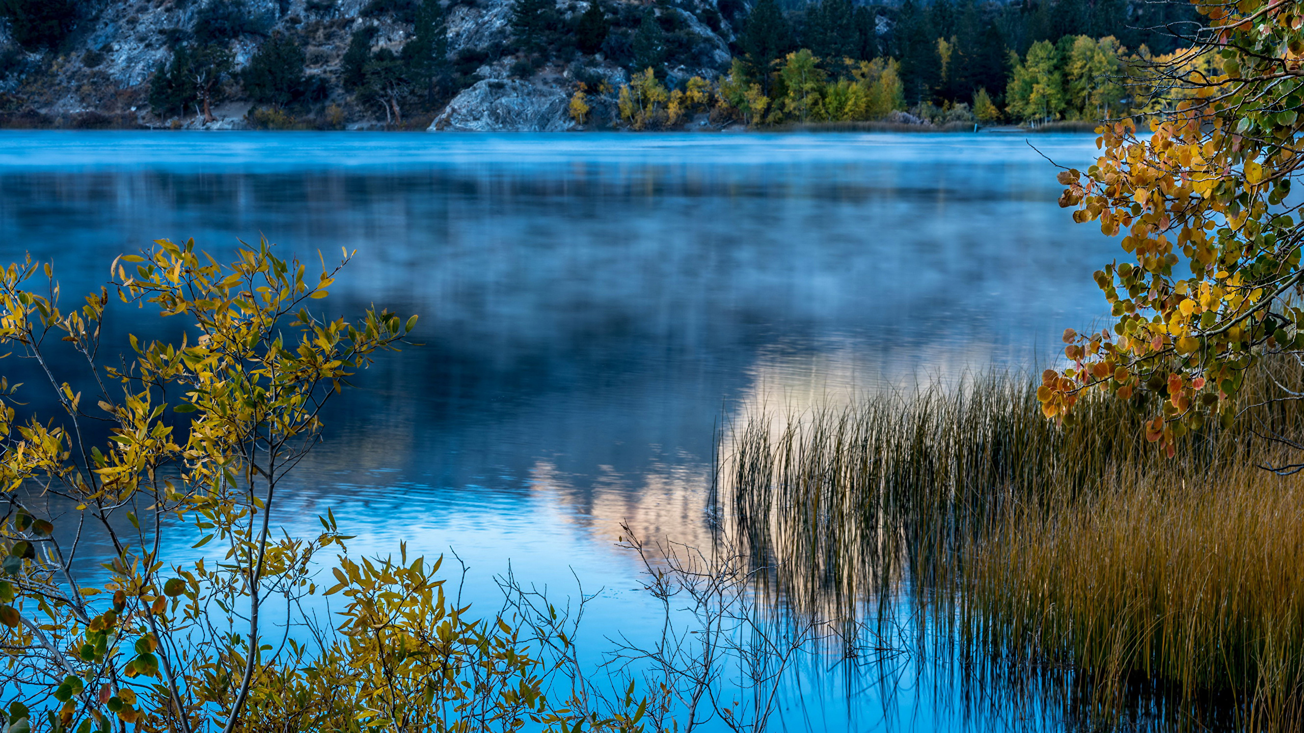 Голубой природа озеро