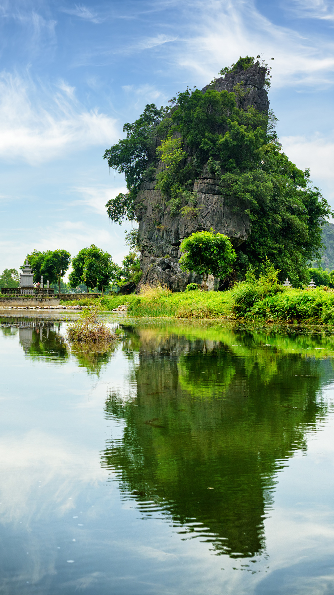 Картинка Вьетнам Ngo Dong River Скала Природа речка кустов 1080x1920