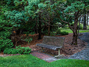 Обои Австралия Парки Скамейка Дерева Mount Lofty Botanic Garden Природа