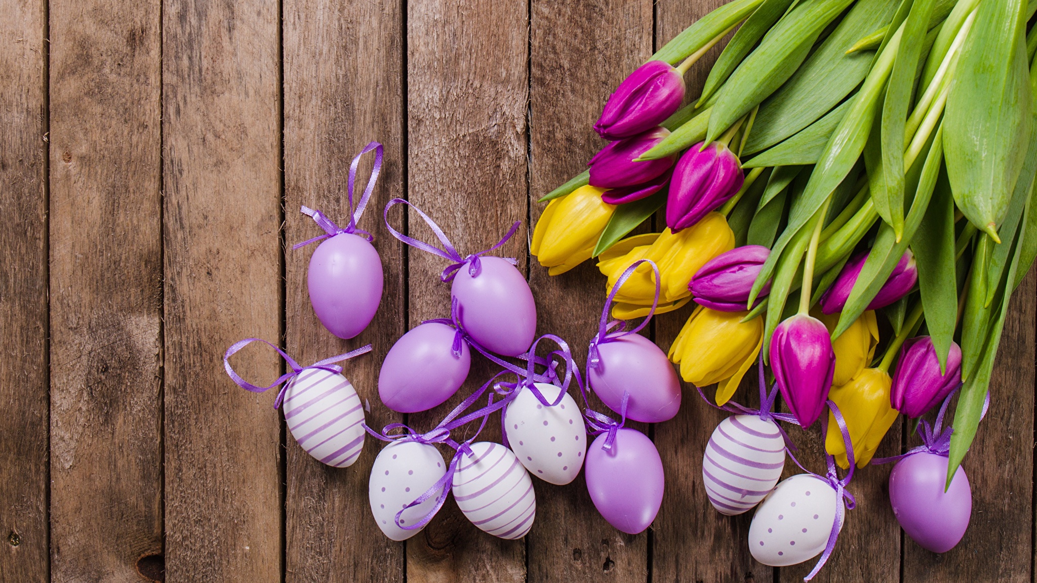 природа кролик цветы тюльпаны яйца пасха бесплатно