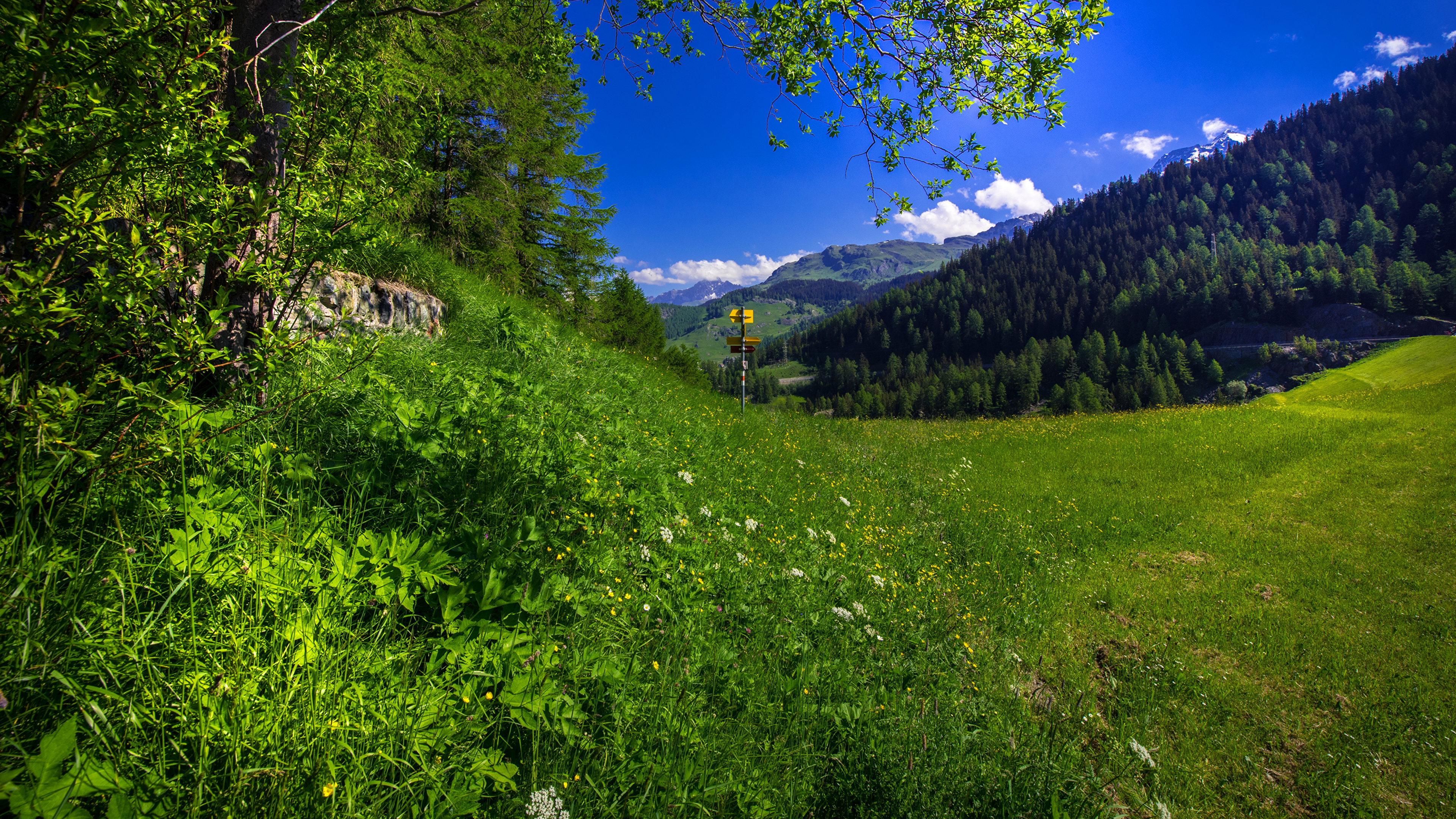 природа горы трава облака небо Швейцария загрузить