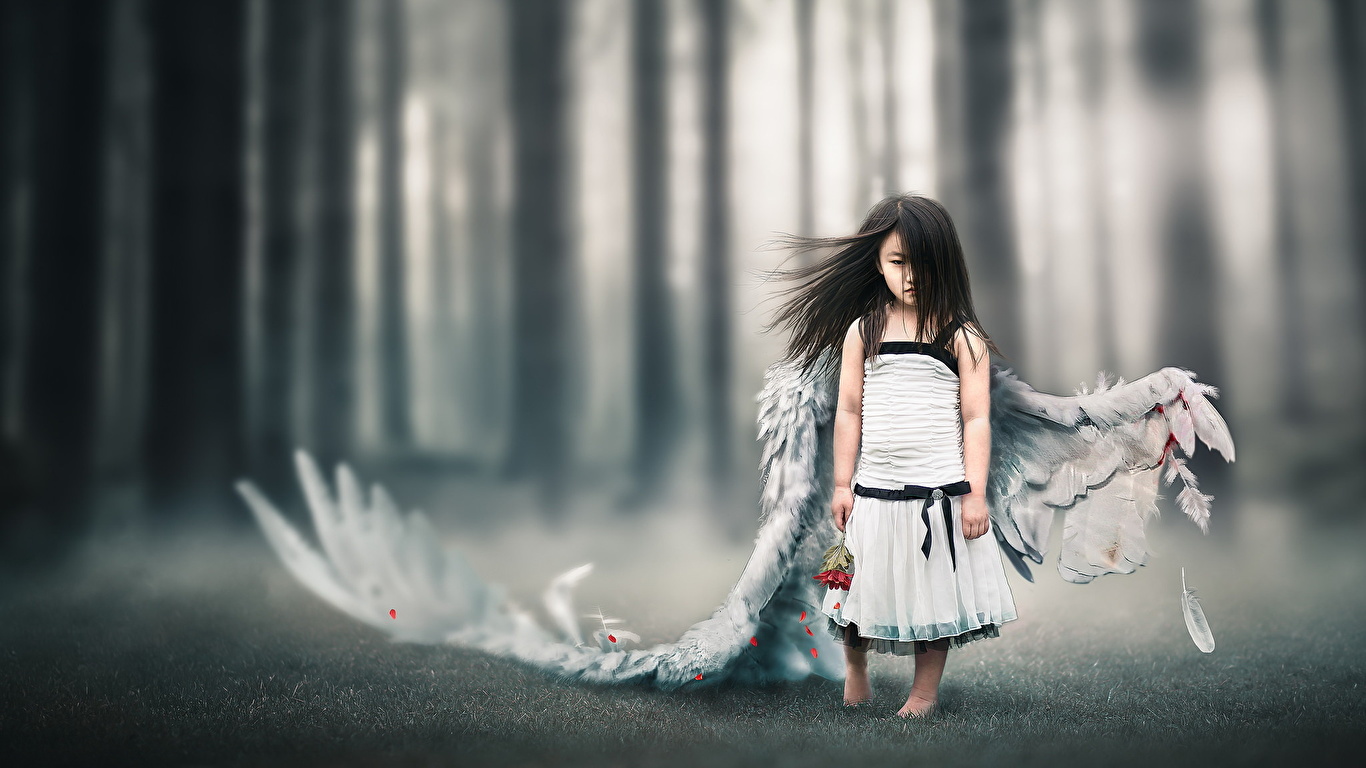Фотография девочка брюнеток Крылья ребёнок ангел Азиаты 1366x768