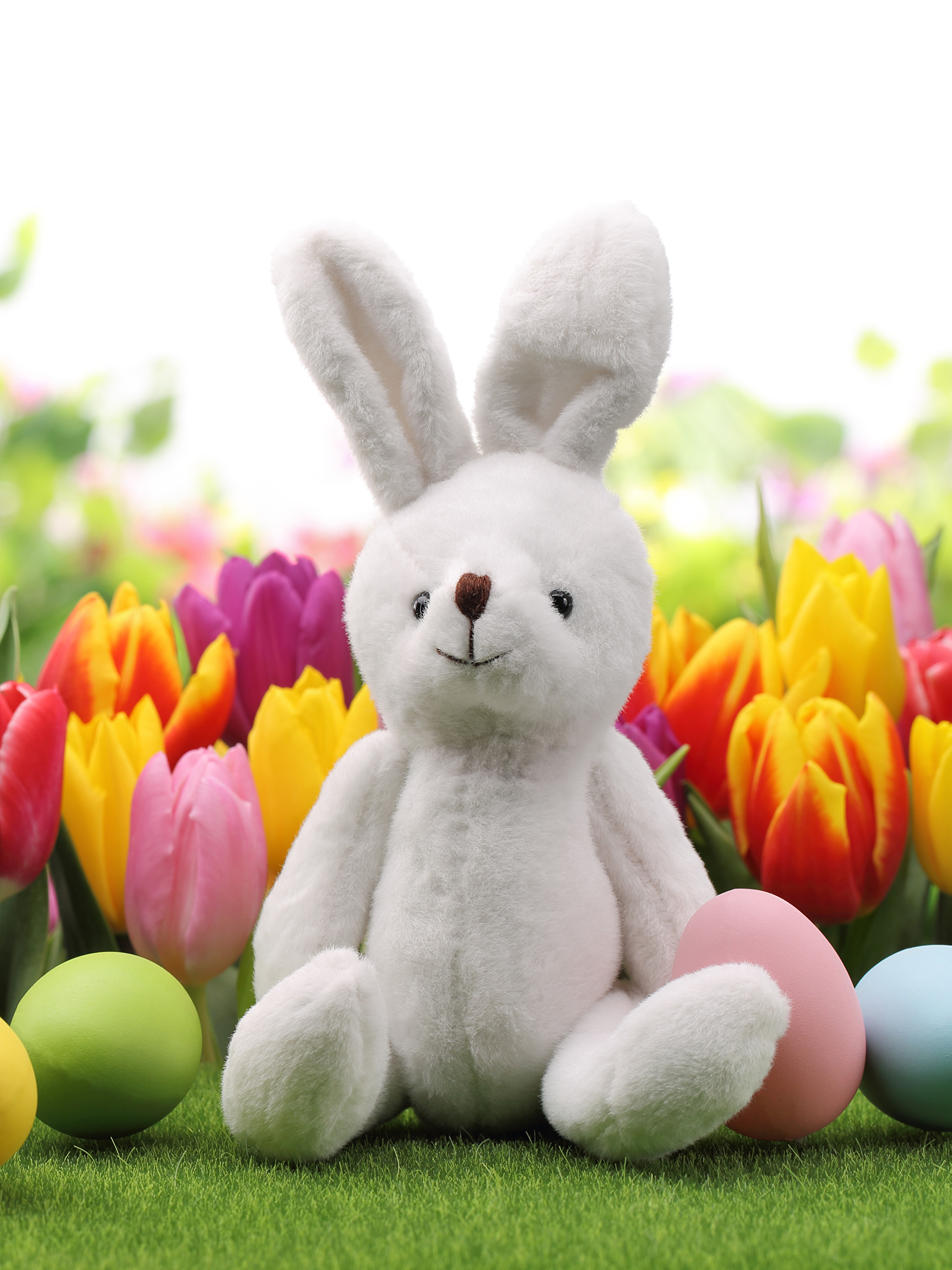 природа кролик цветы тюльпаны яйца пасха без смс