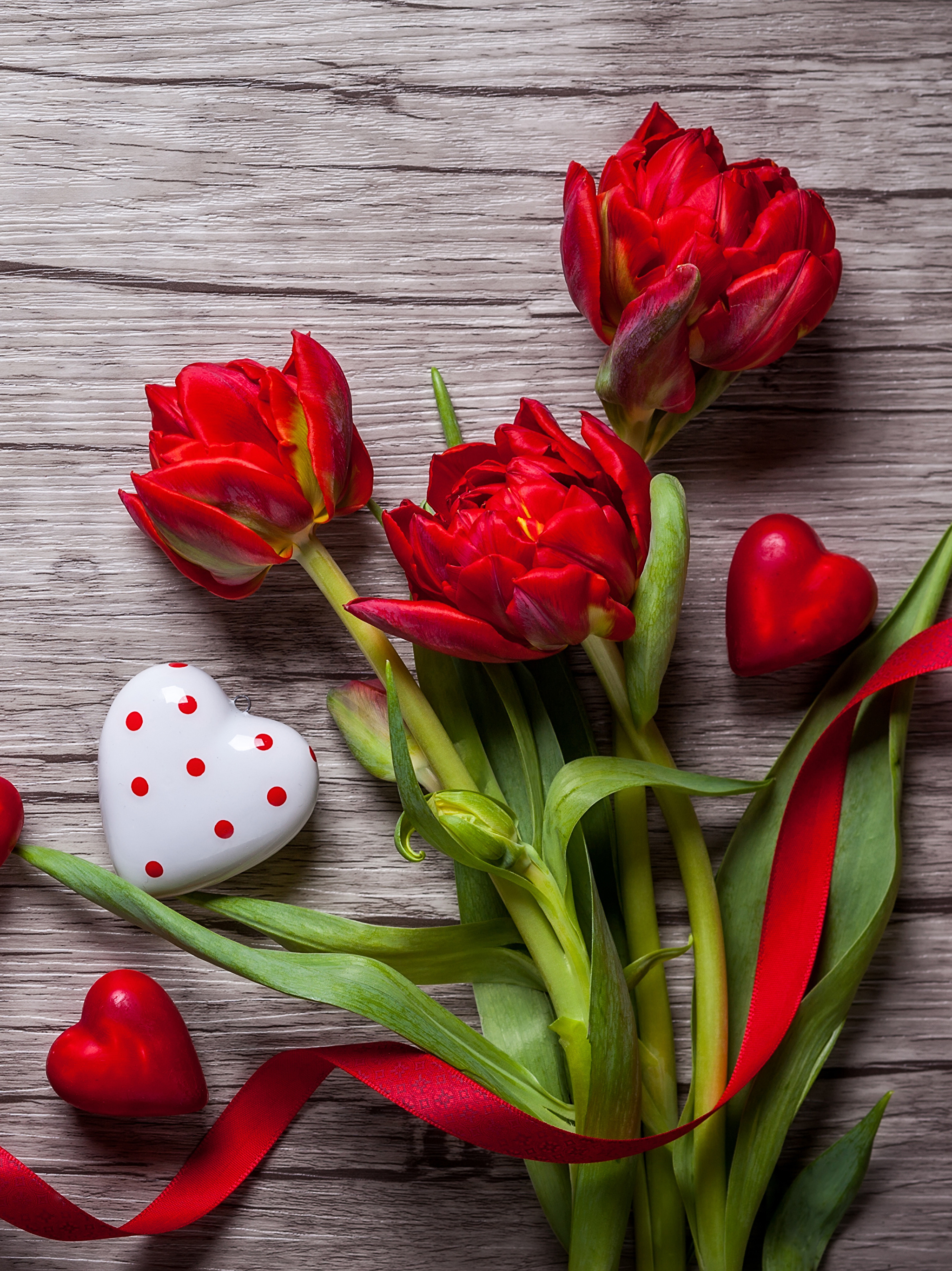 Тюльпаны на день влюбленных