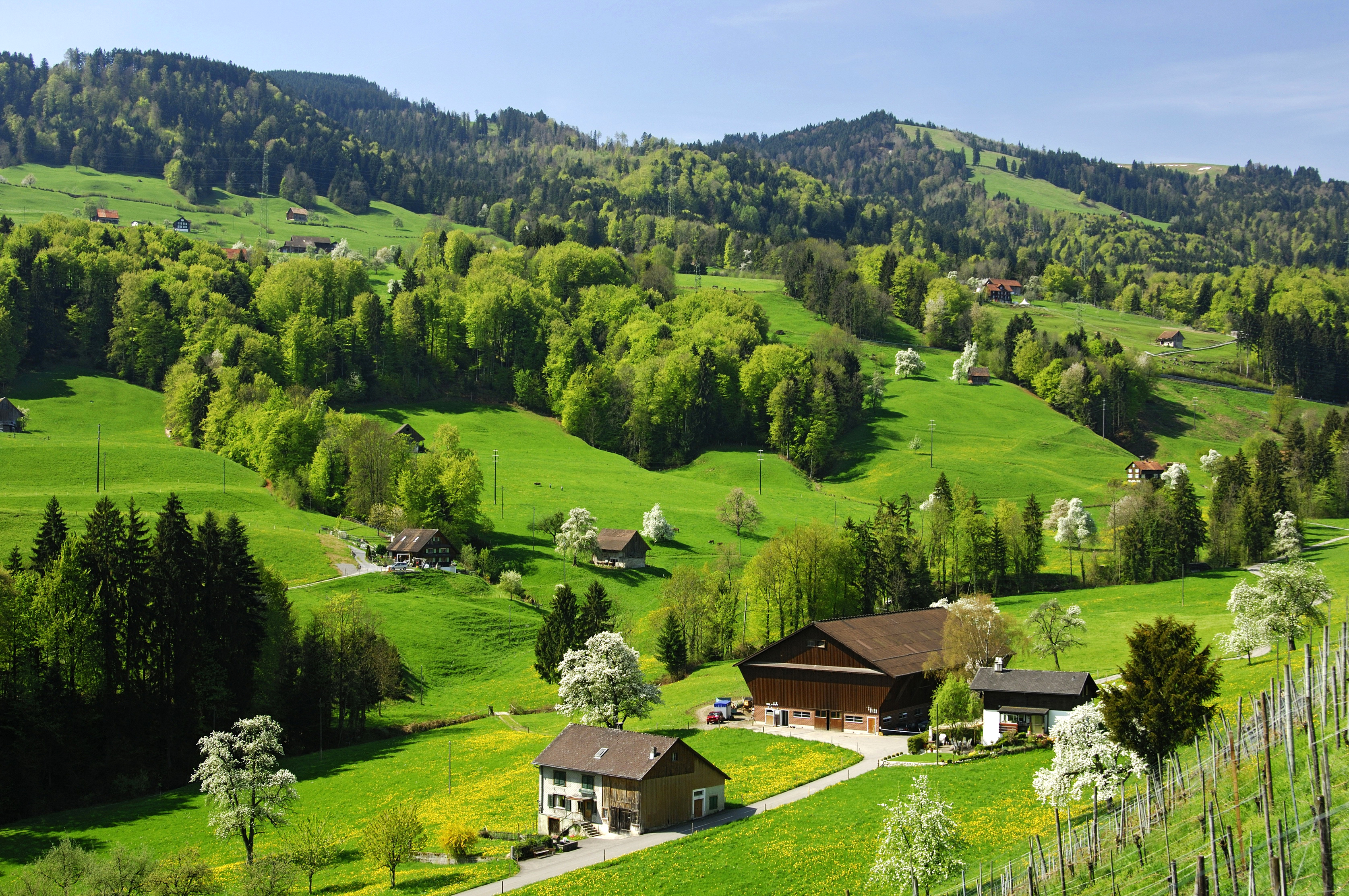 Nature. Швейцария манзаралари. Зеленые холмы Швейцарии. Зеленые холмы Англии. Швейцария поля горы домики.