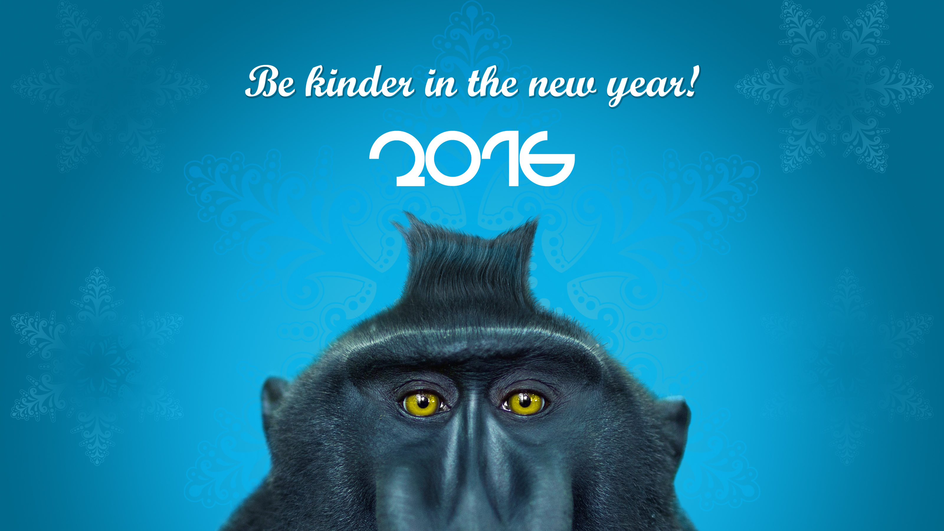 2016 год обезьяны the year of the monkey загрузить