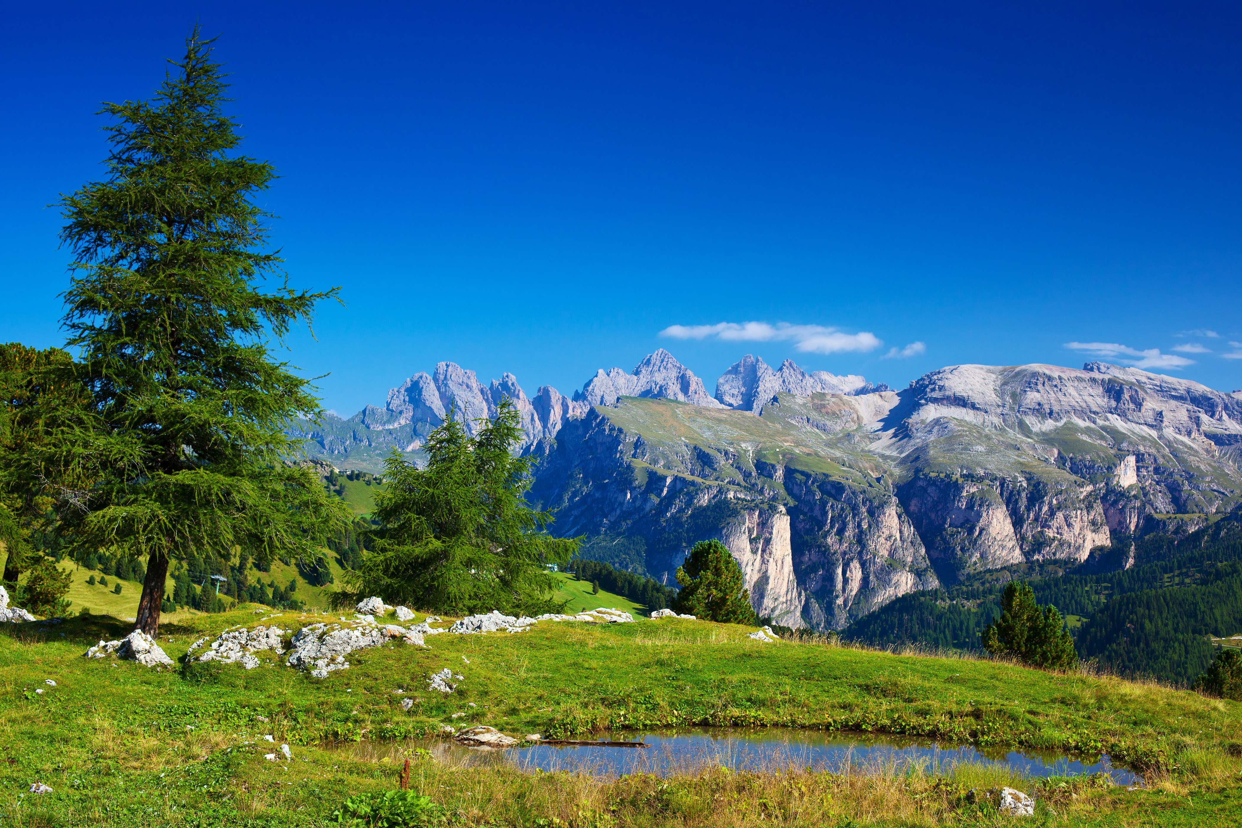 Фото. Доломитовые Альпы. Франция Альпы горные леса. Альпы горные Луга. Альпы Швейцария дорога.