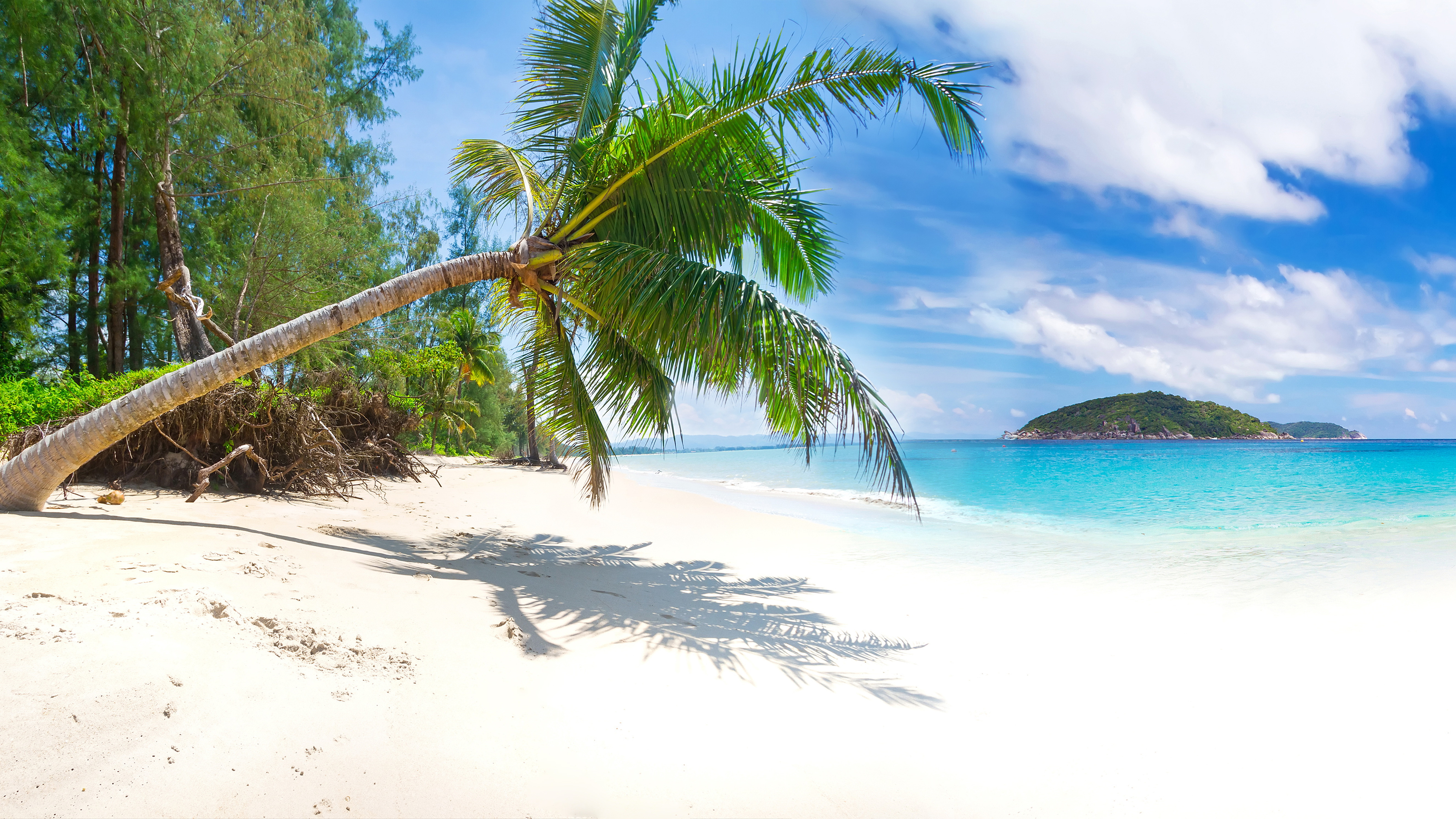 природа песок пляж дома море пальмы скачать