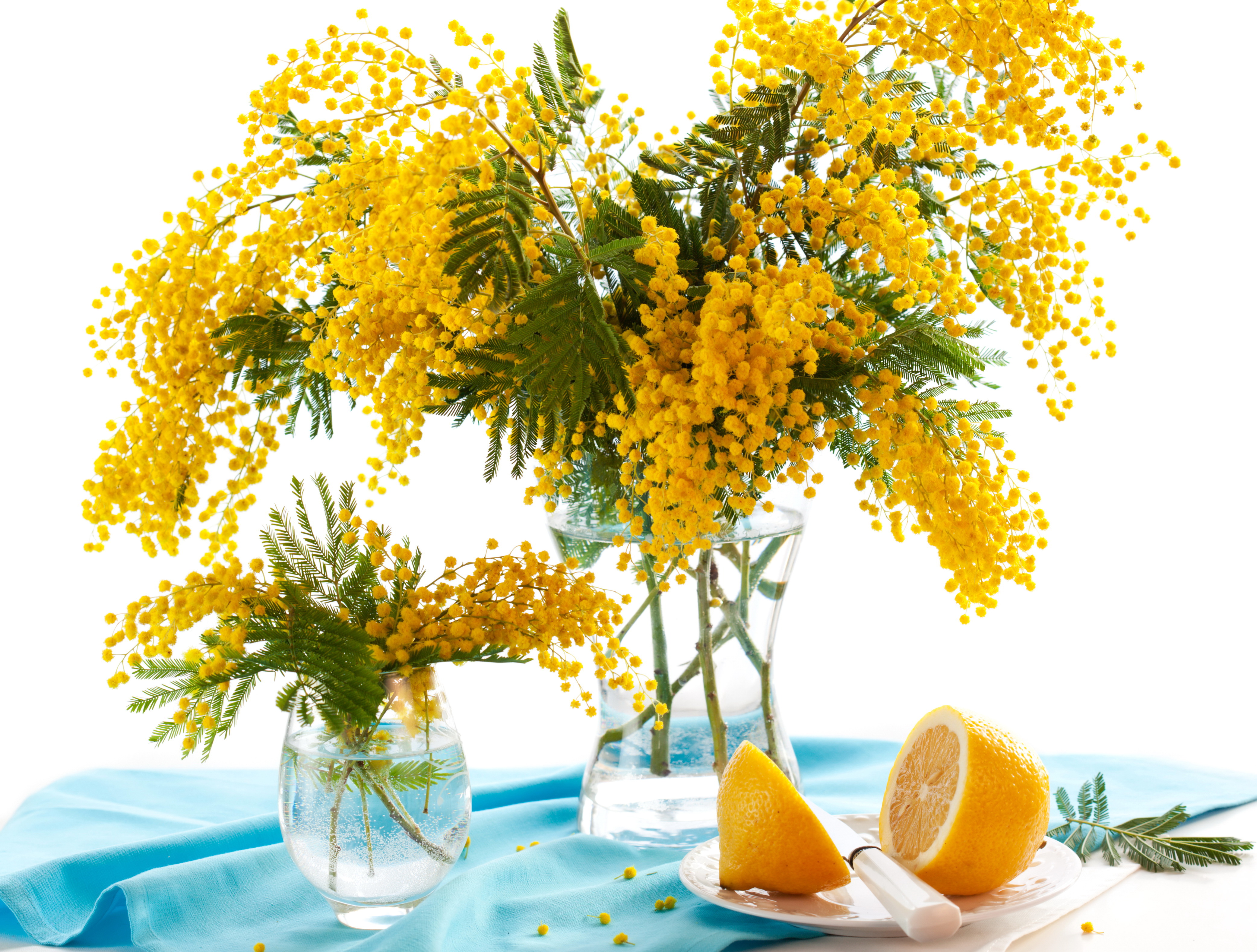 стол, ваза, цветы, лимон скачать