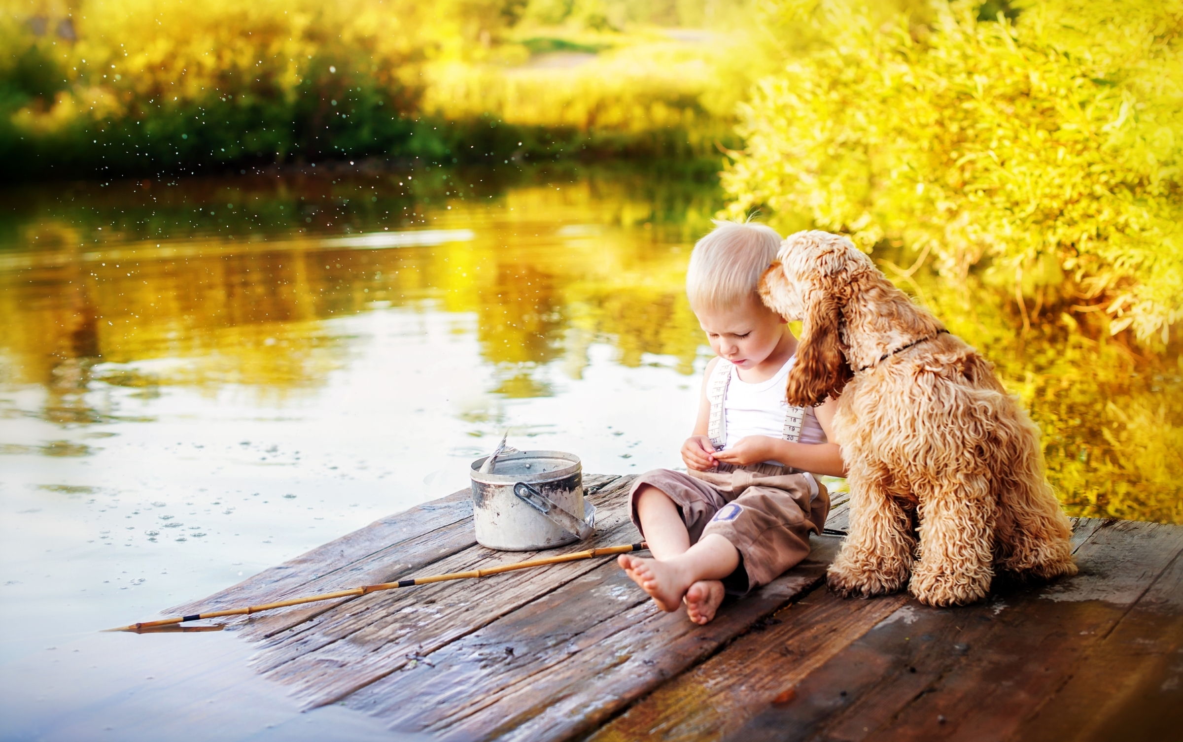 Мальчик на берегу озера. Дети и природа. Дети на природе с животными. Дети и животные в высоком качестве. Малыш на природе.