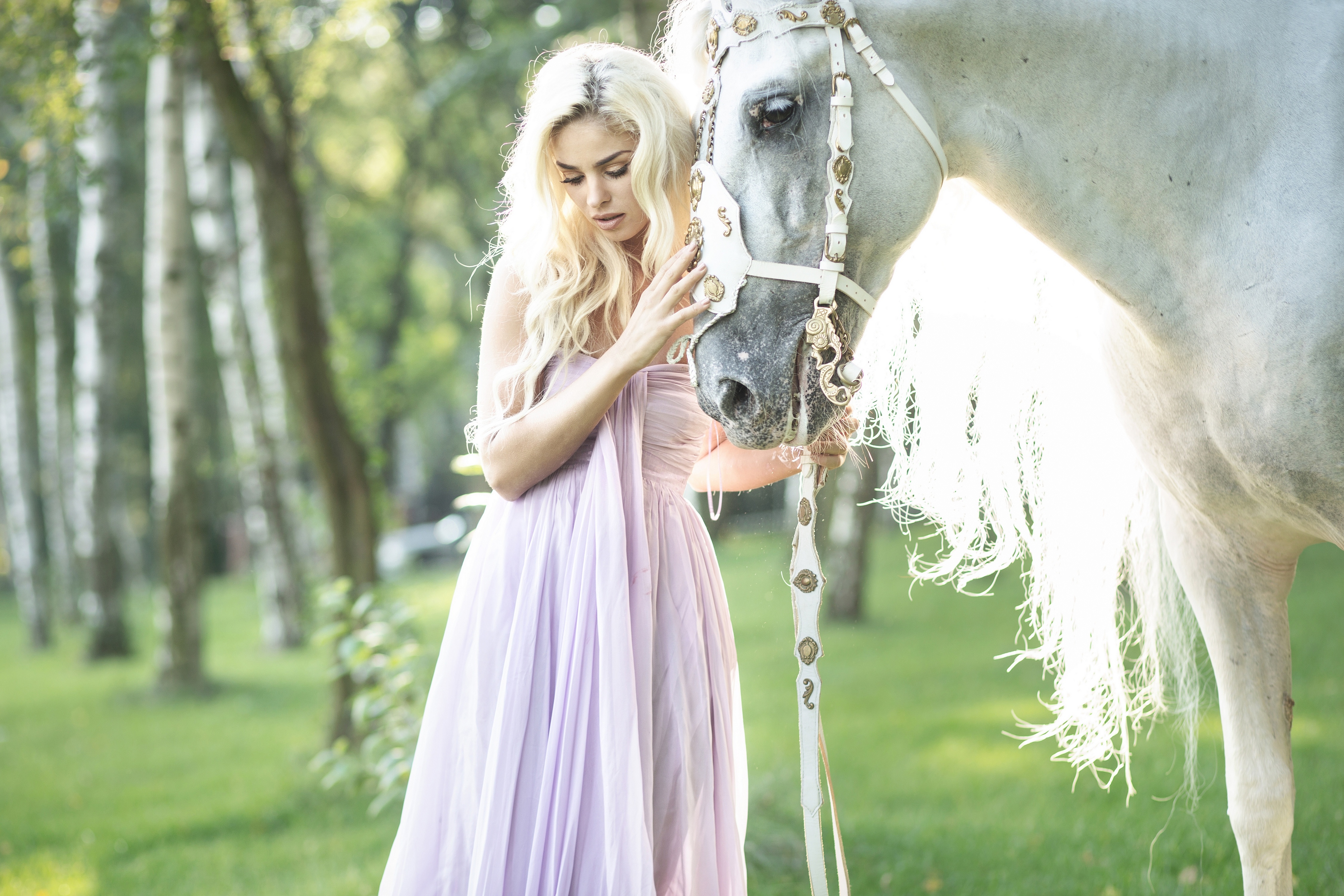 Девочка с лошадкой. Красивая фотосессия с лошадью. Фотосессия с белой лошадью. Девушка с лошадью. Девушка на лошади в белом платье.