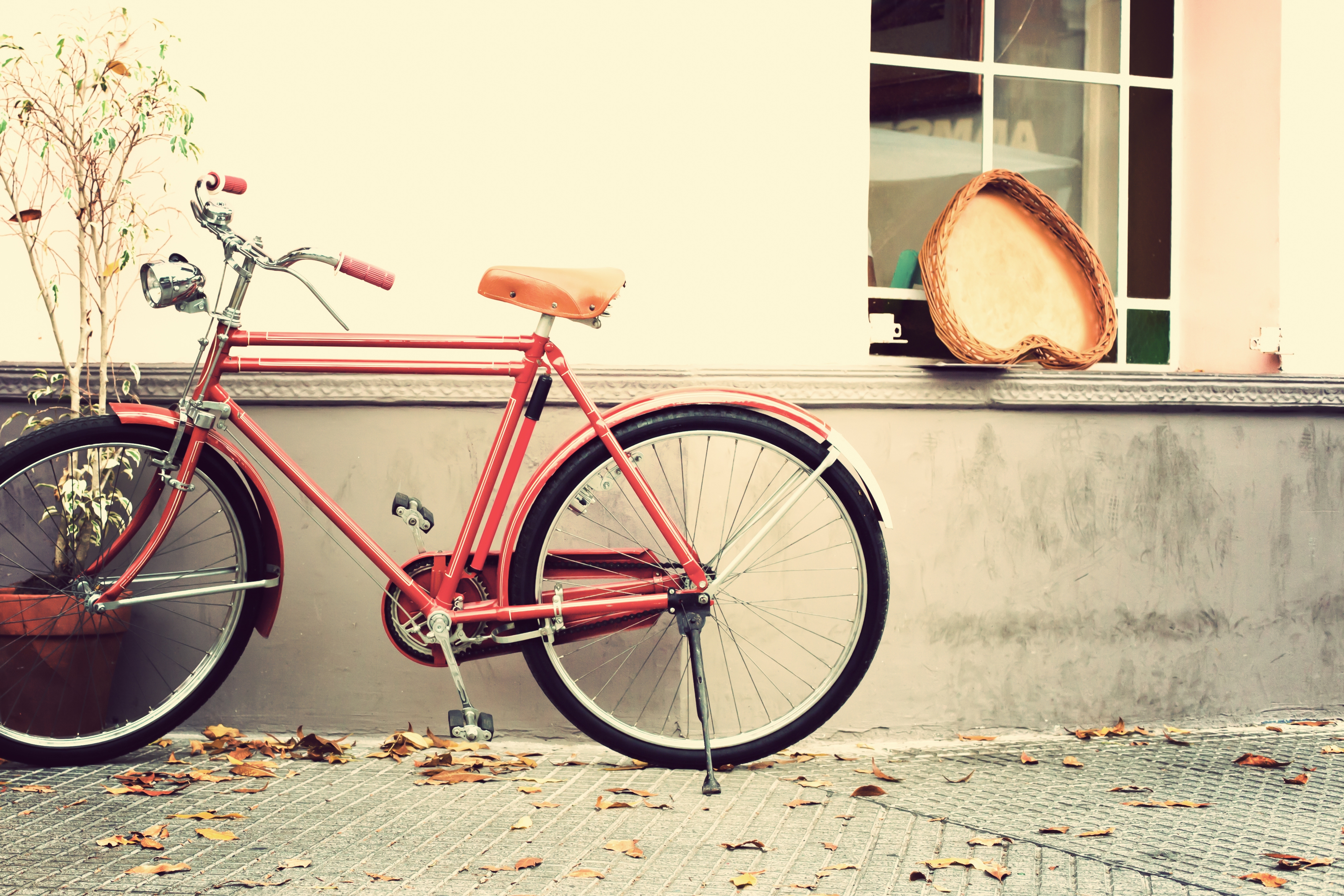 Брошенный велосипед без смс