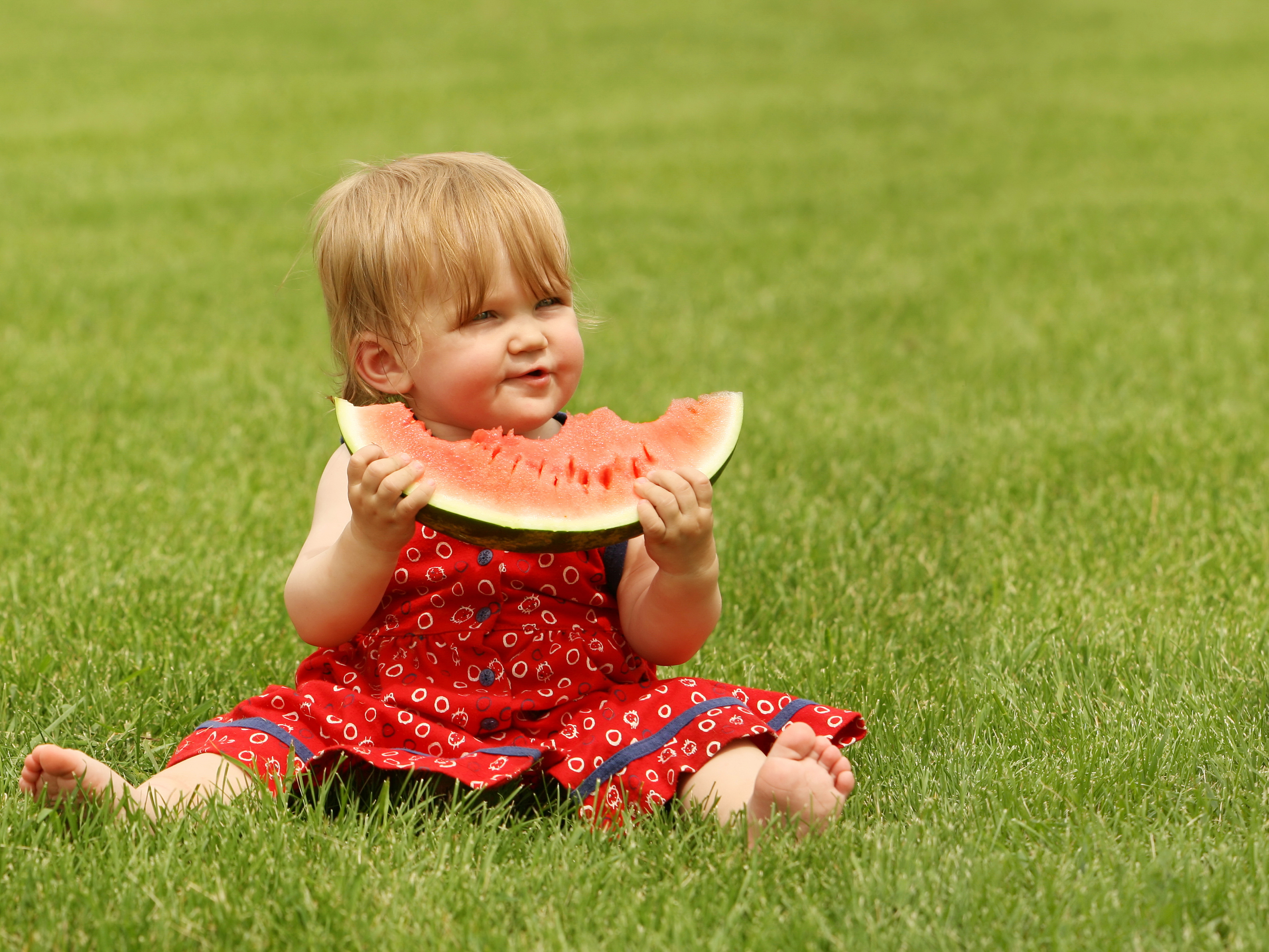 жизнь девочка ребенок арбузы life girl child watermelons без смс
