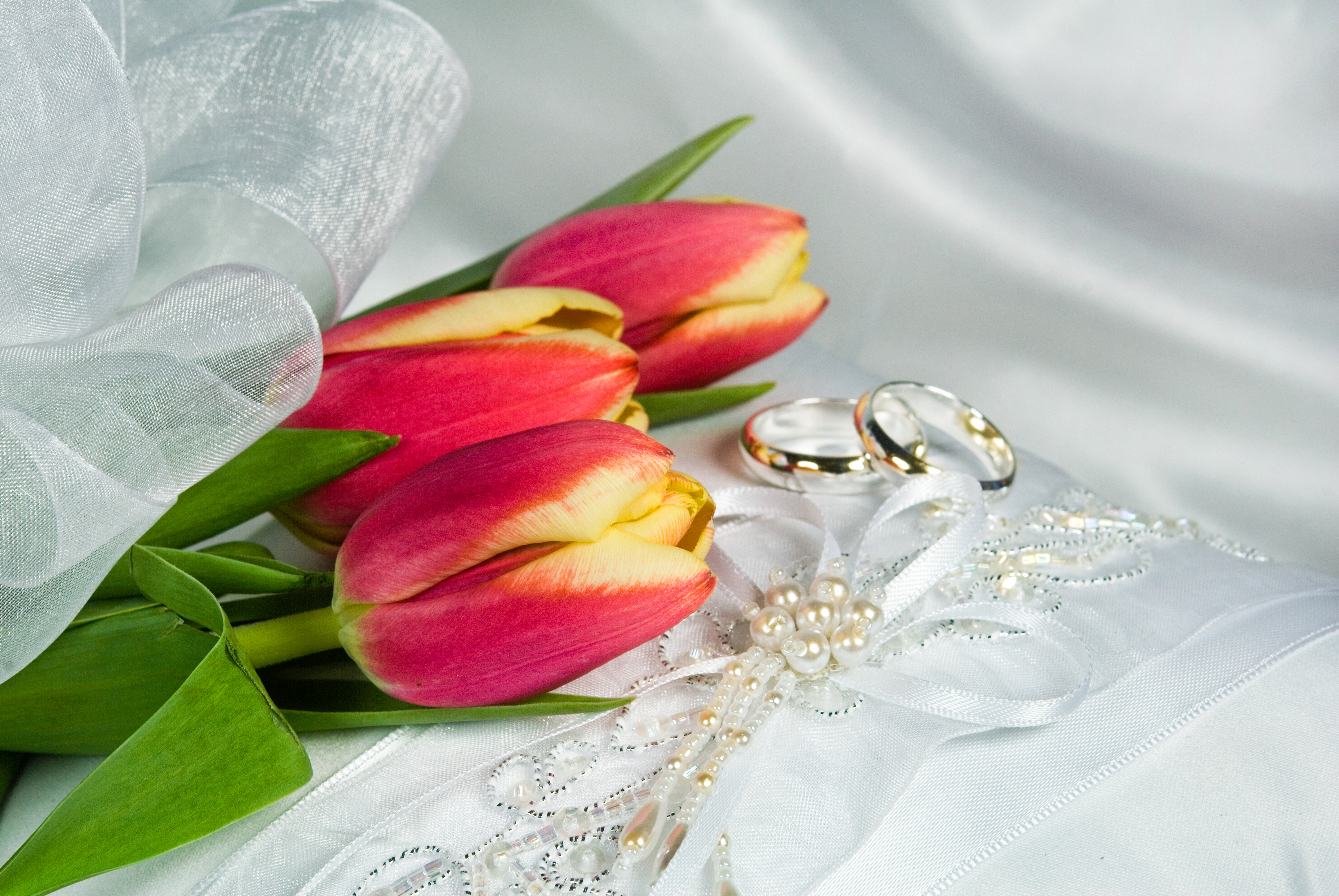 Тюльпаны на свадьбе