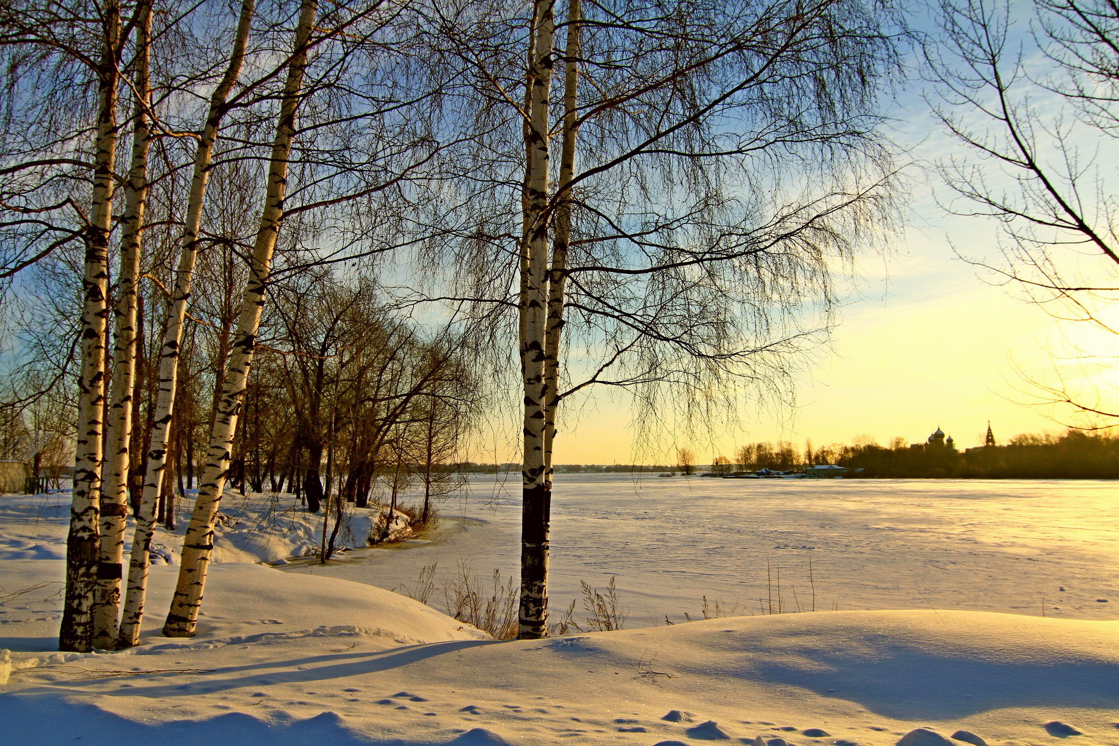 природа деревья березы снег река бесплатно