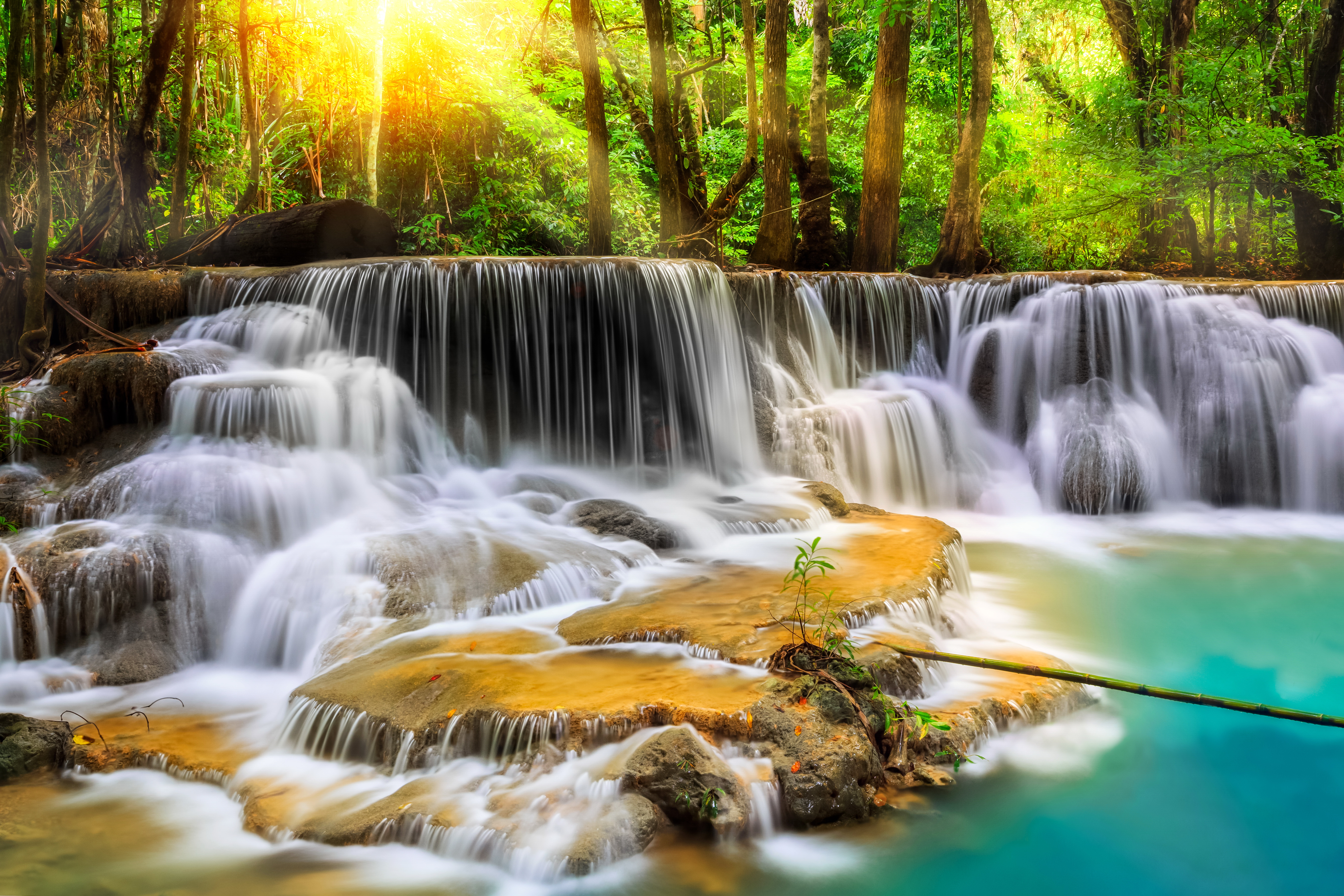 природа река водопад деревья загрузить