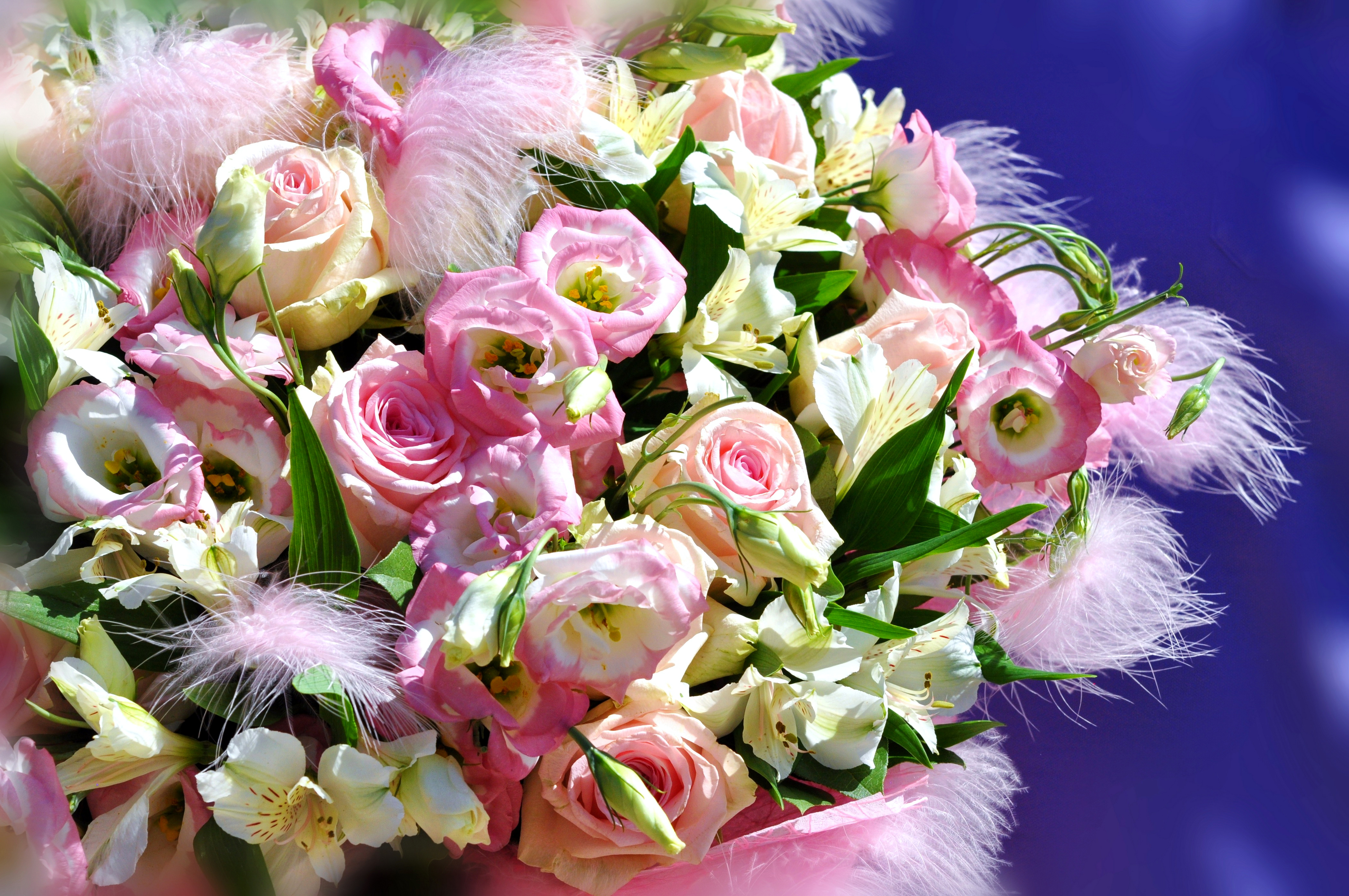 Букет цветов с пожеланиями для женщин красивые. Розы и эустома. Красивый букет. Букет шикарный. Самый красивый букет.