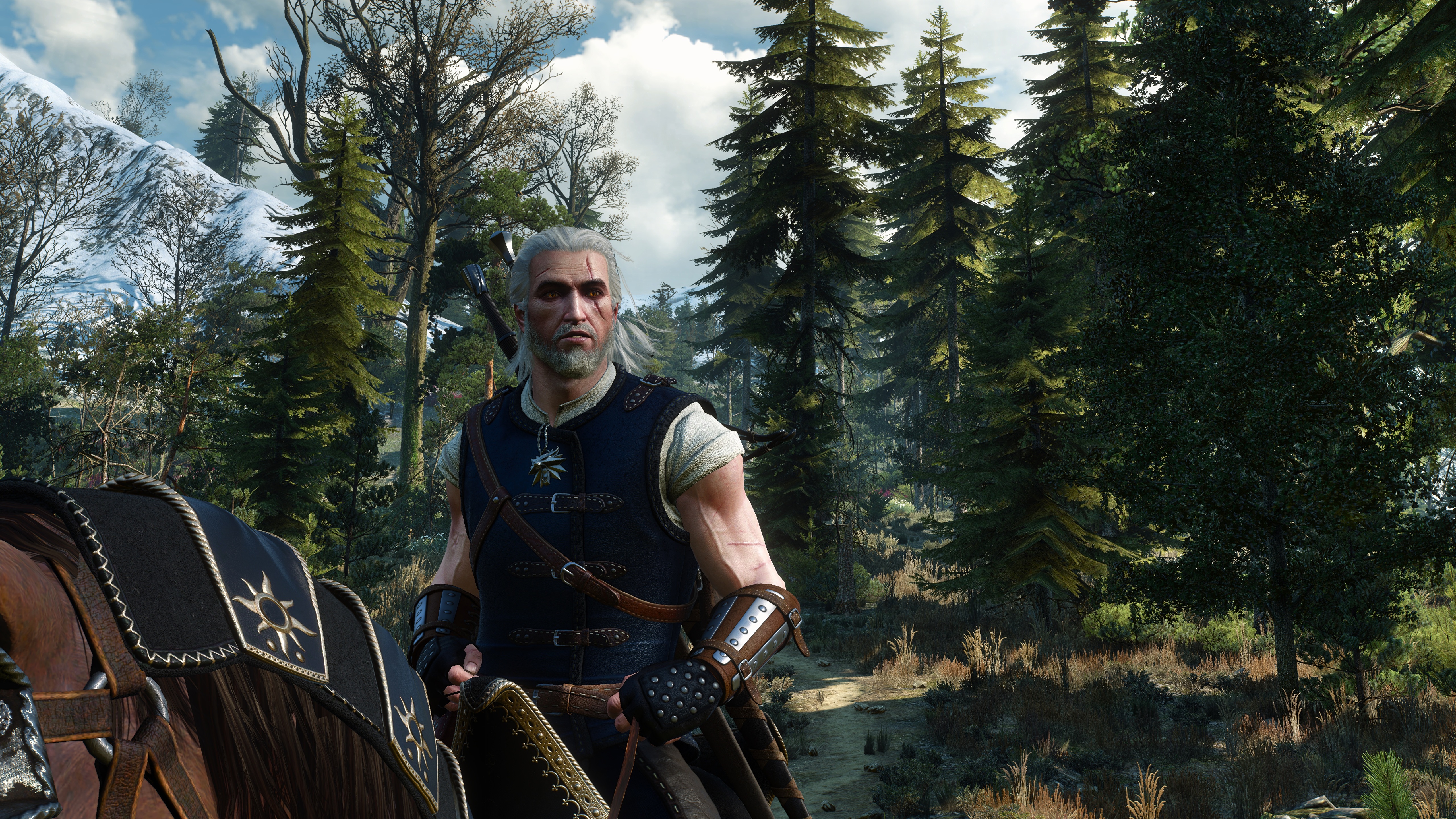 The witcher 3 geralt horse фото 104