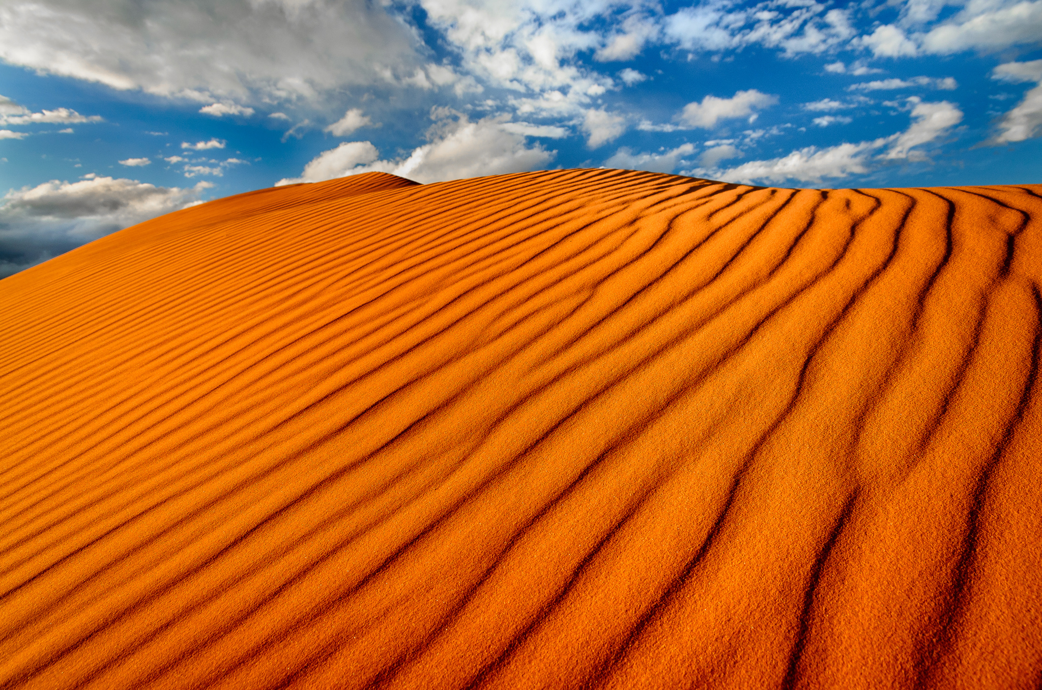 Неживая природа в пустыне. Дюны и Барханы. Барханы Пески пустыня. Оранжевая природа. Оранжевая пустыня.