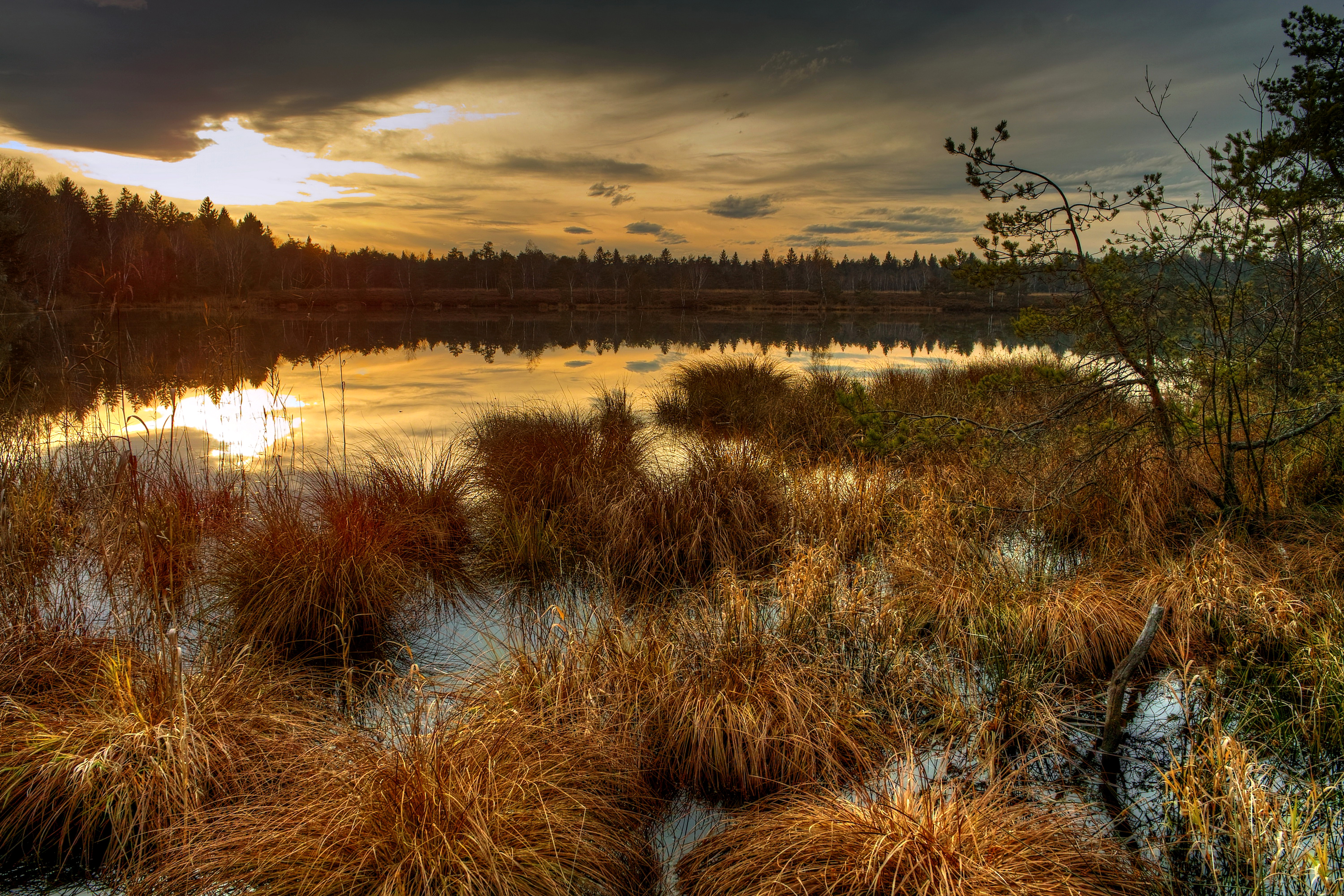 речка осень закат трава the river autumn sunset grass бесплатно