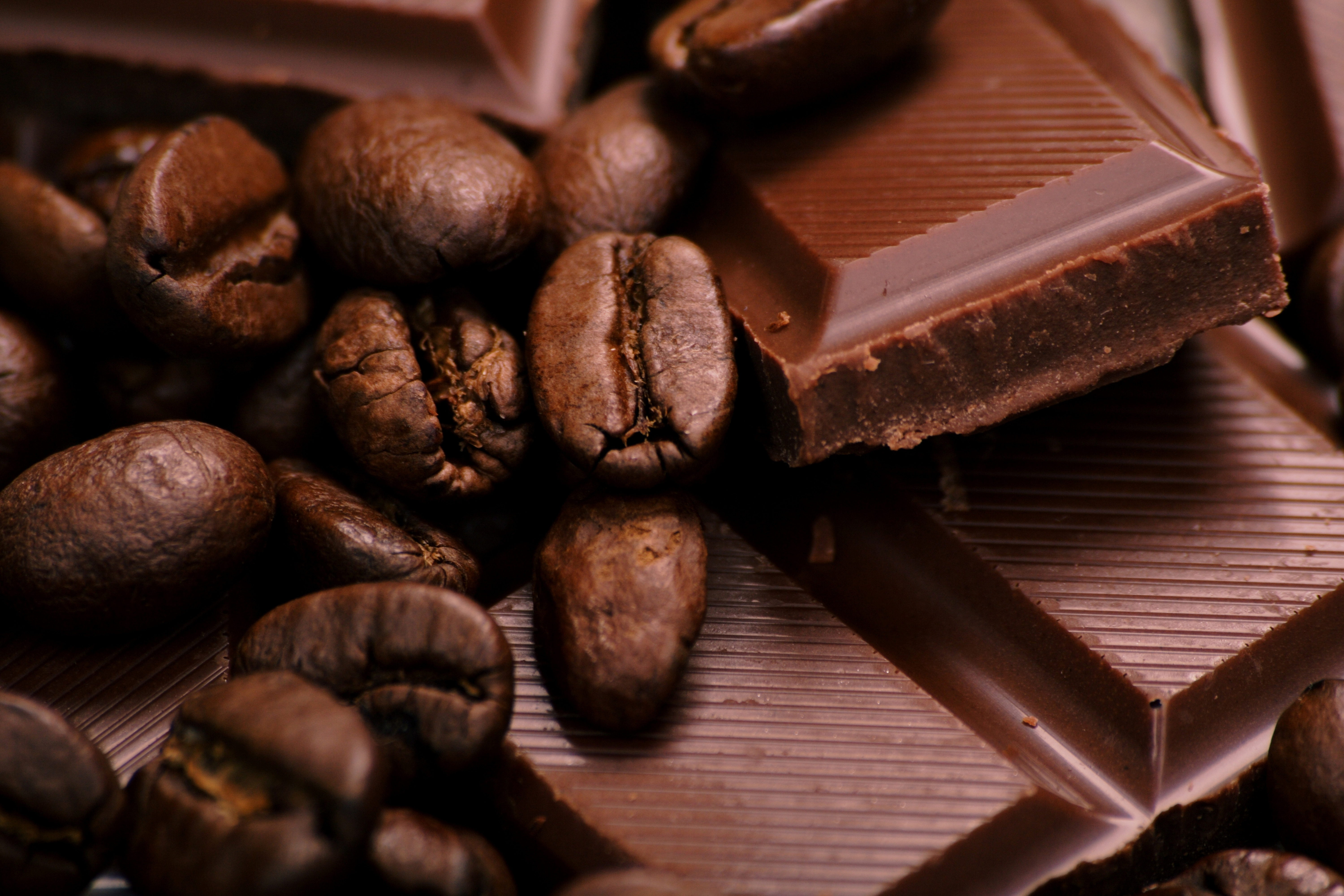 еда шоколад какао бобы скачать
