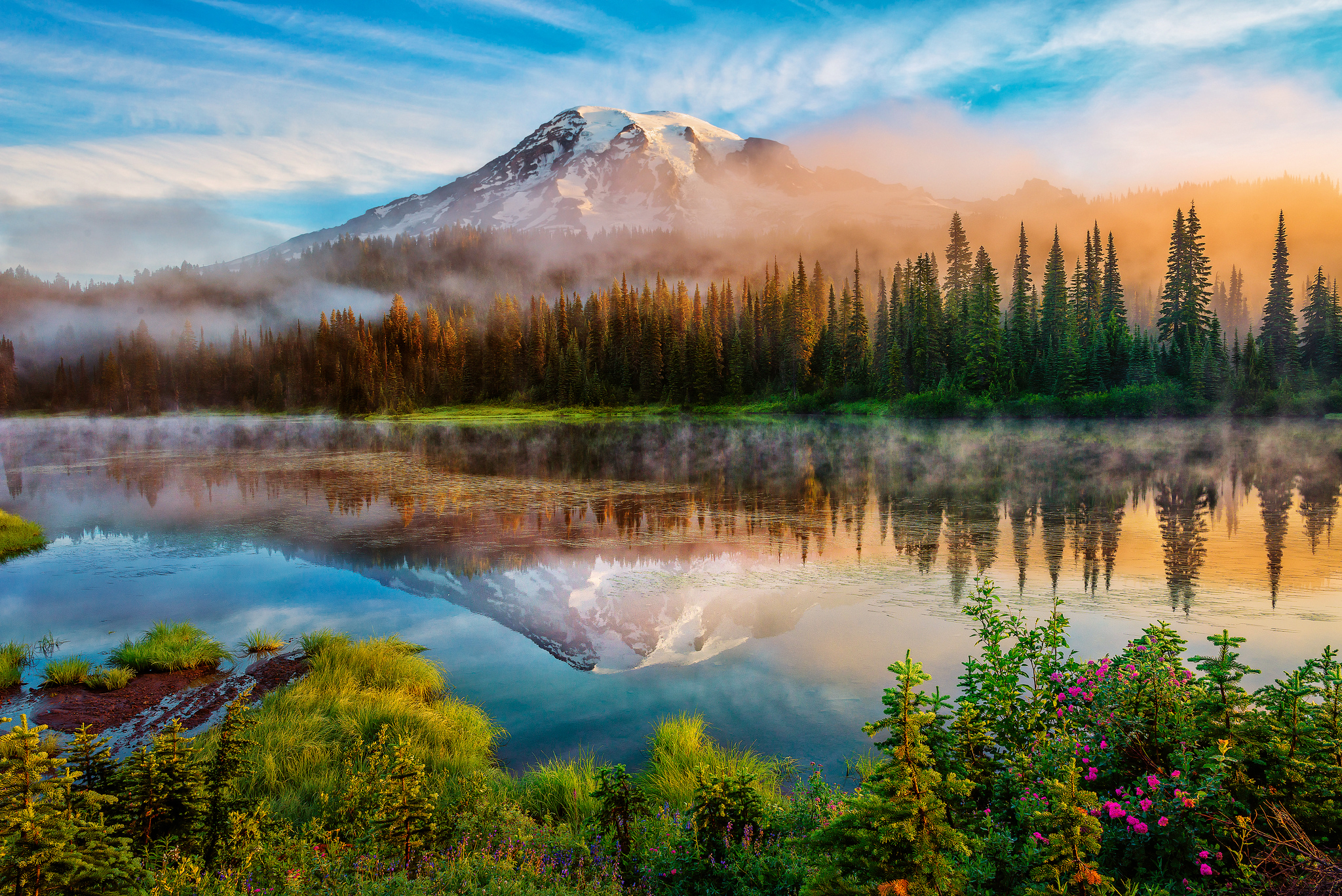 Natural Beauty, Mount Rainier National Park, Washington бесплатно