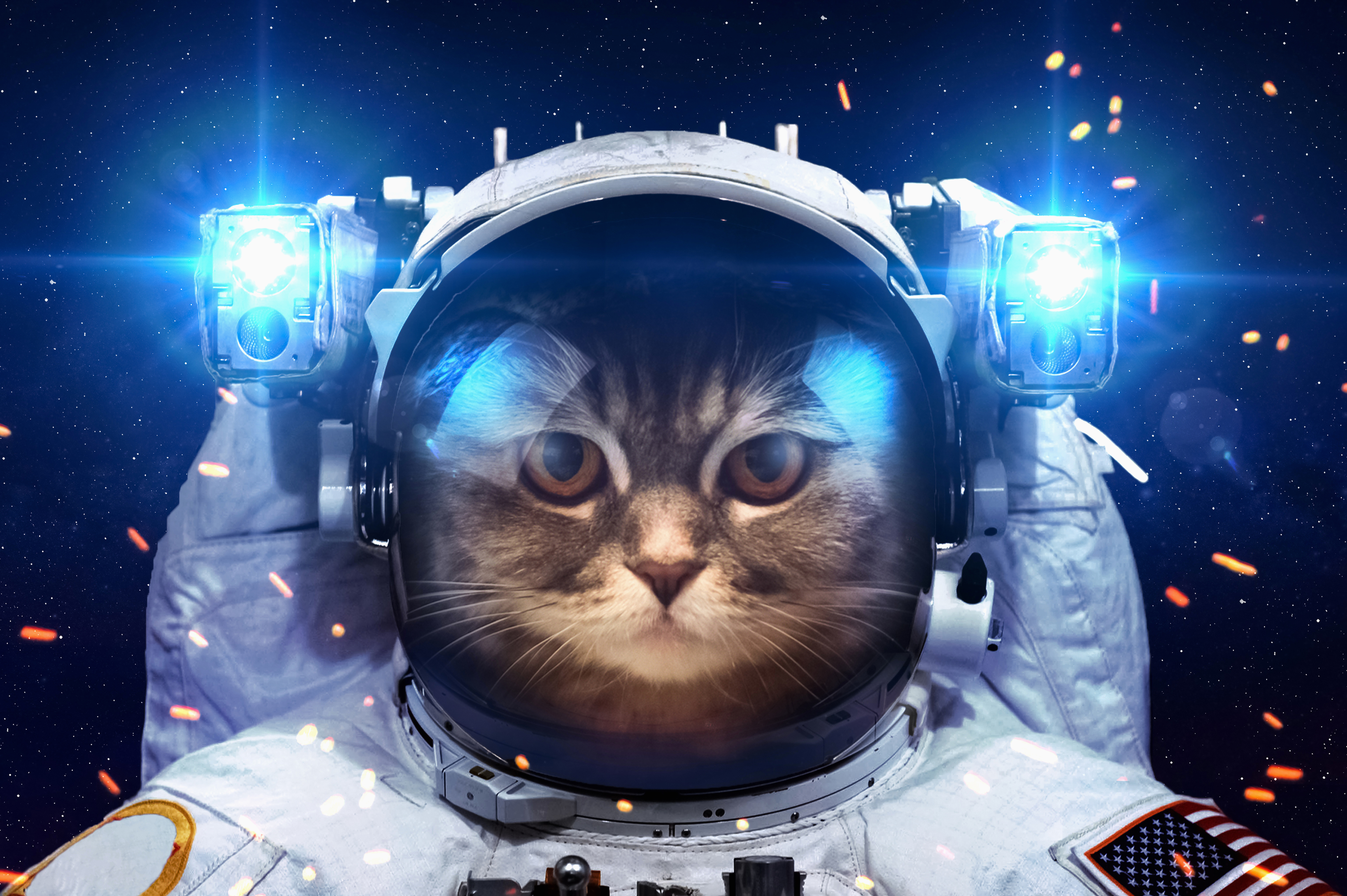 Cats_Cosmonauts_Uniform_473764.jpg