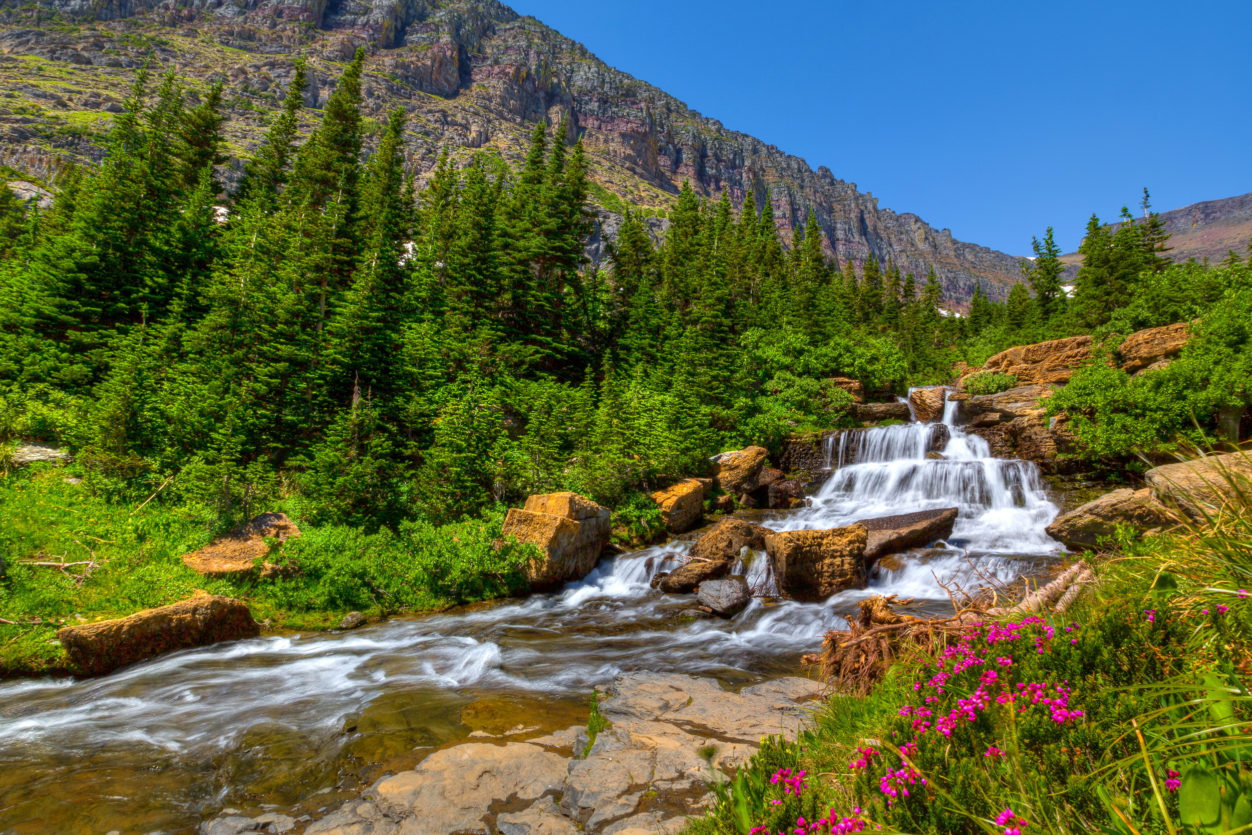 Describe nature. Водопадный ручей Алтая. Горный Алтай горные ручьи. Горы водопад ручей лес. Горные ручьи Камчатки.